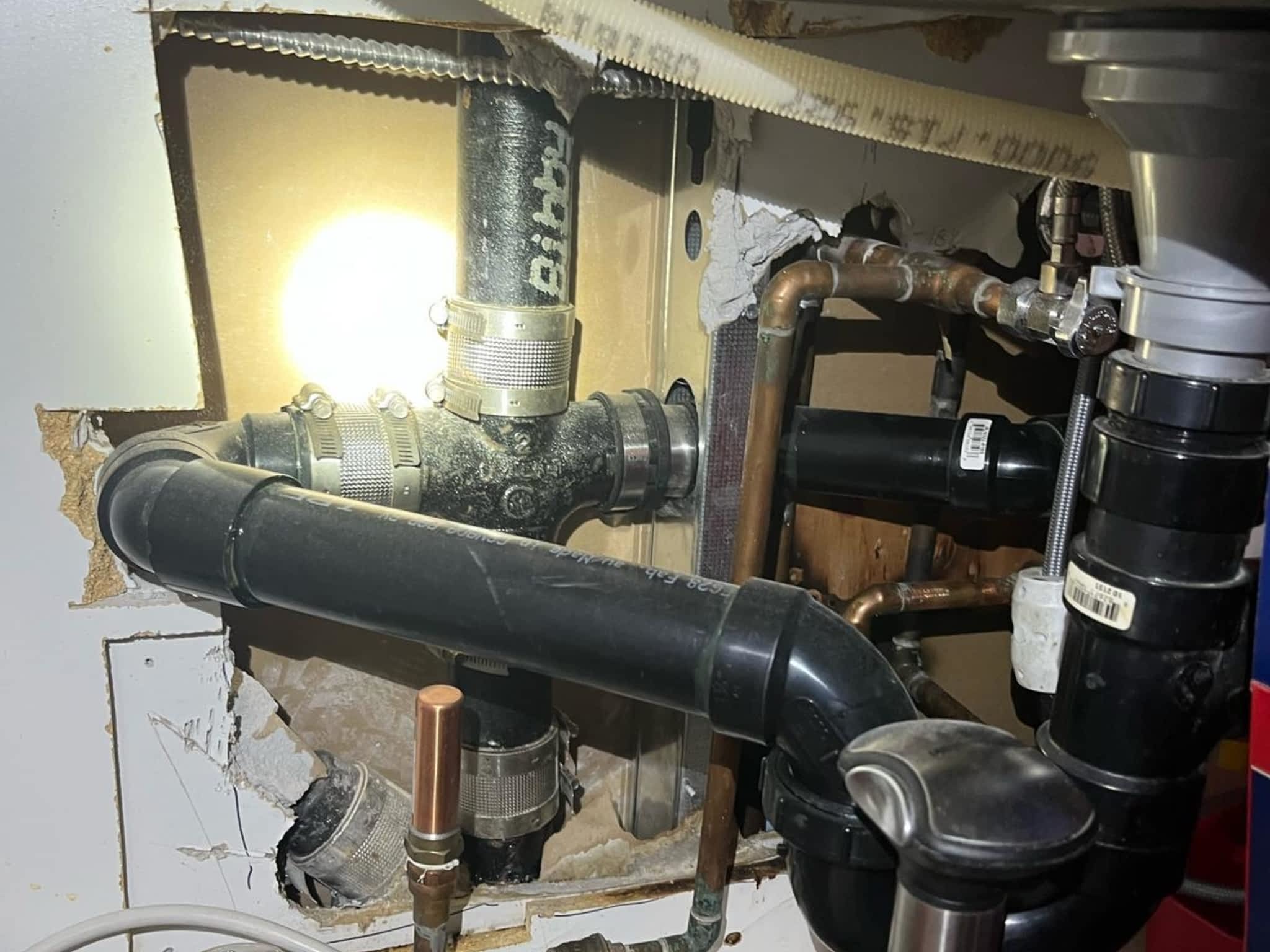 photo Phantom Pest Control Maple Ridge