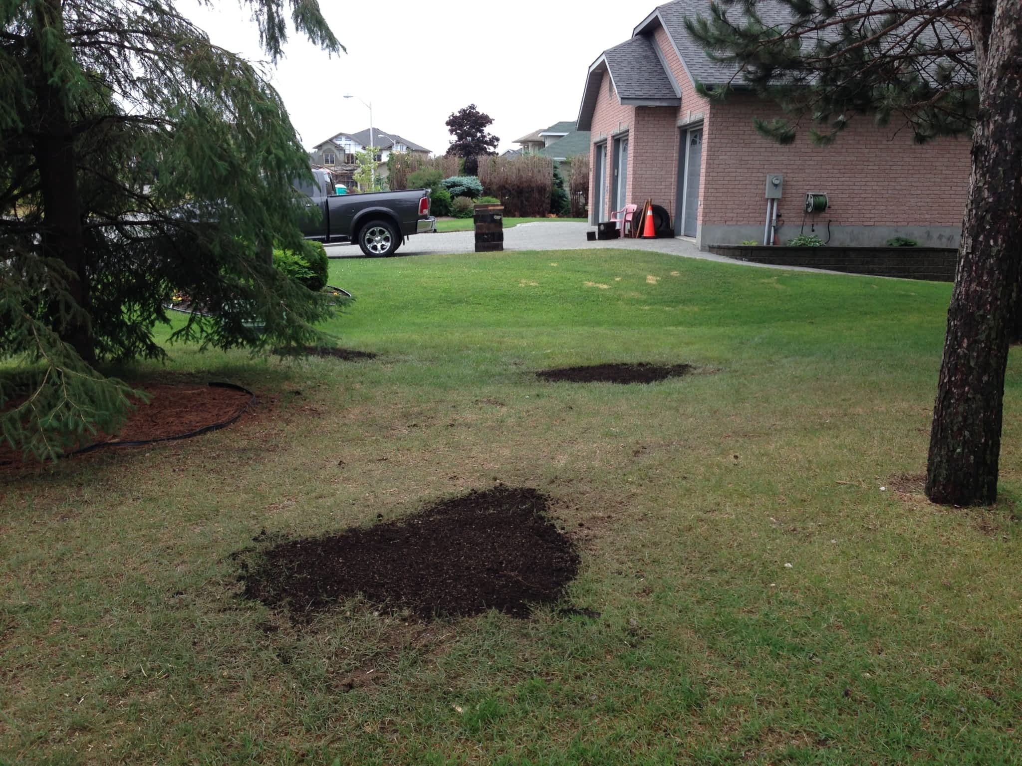 photo Upper Hand Tree Care