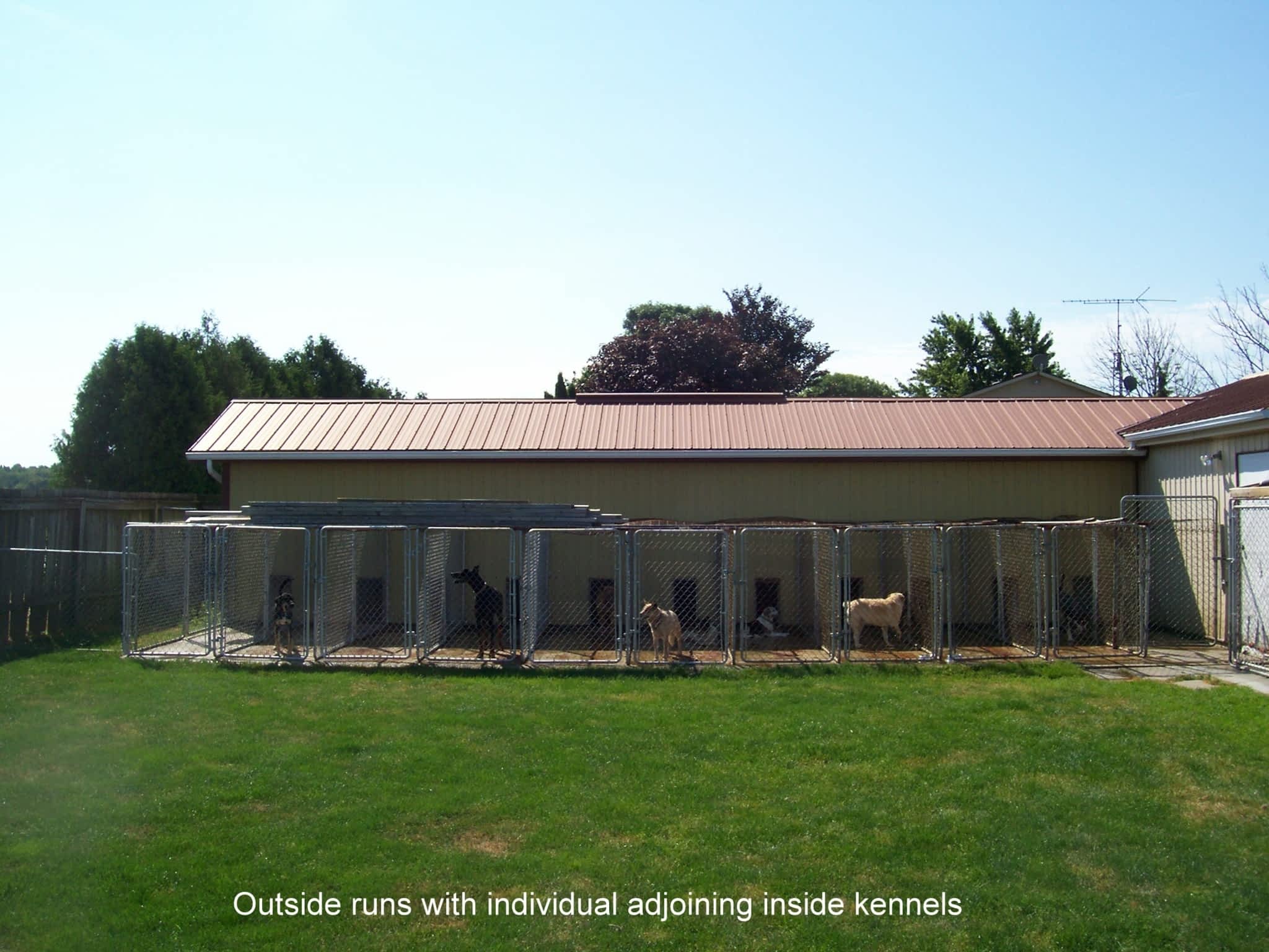 Ace Pet Boarding Chatham, ON 11333 Eberts Line Canpages