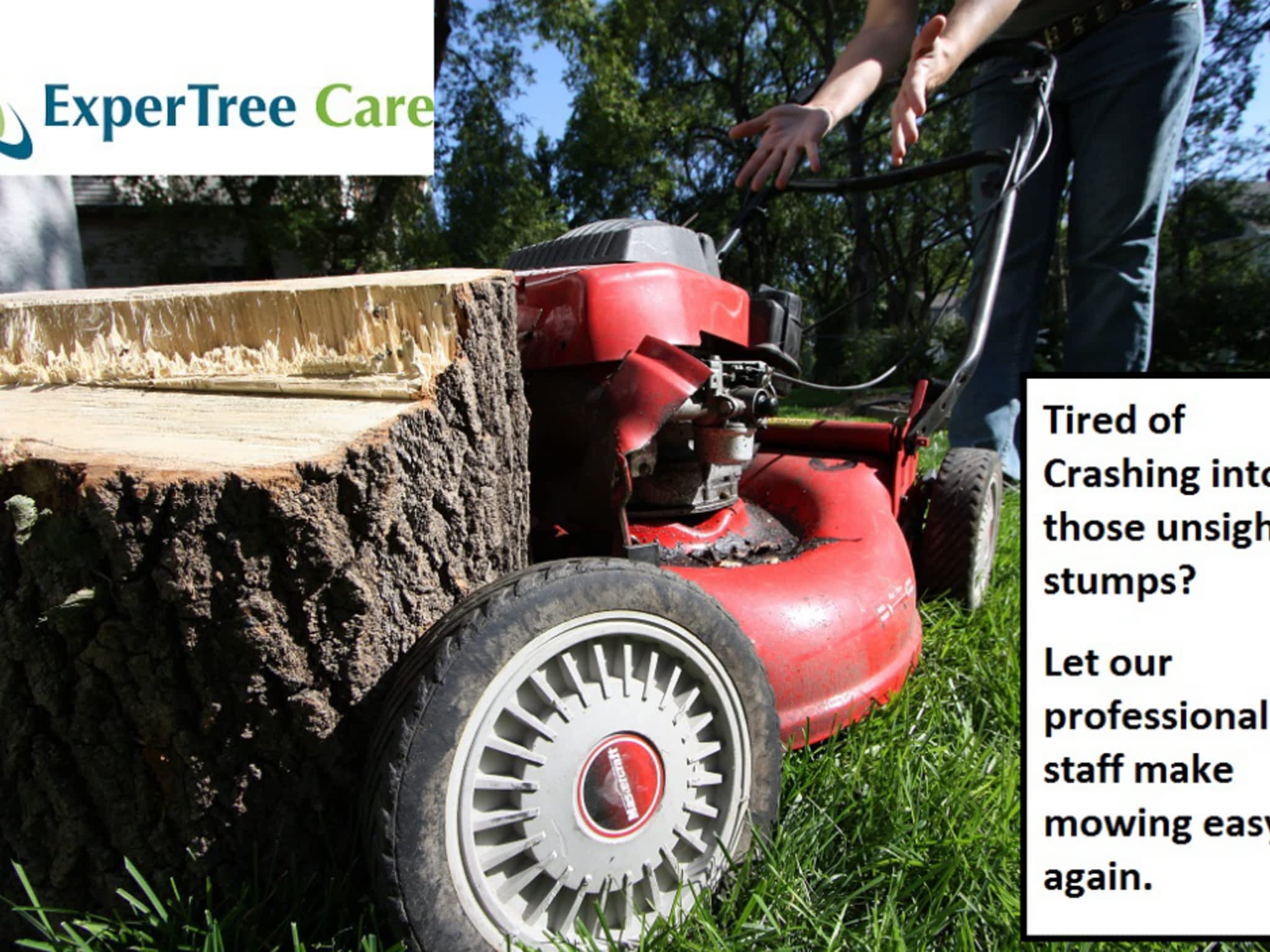 photo Expert Tree Care
