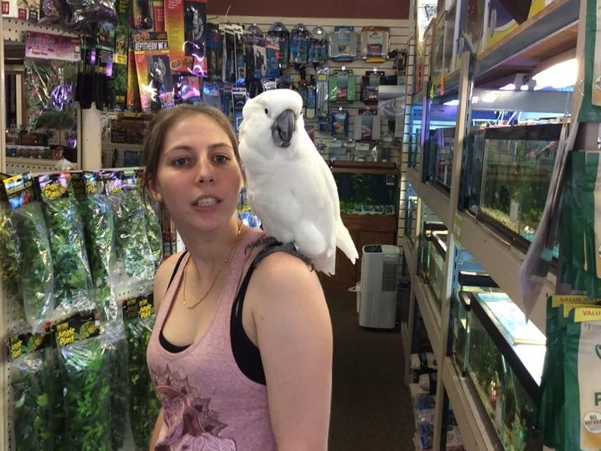 photo Chow Time Pet Supply