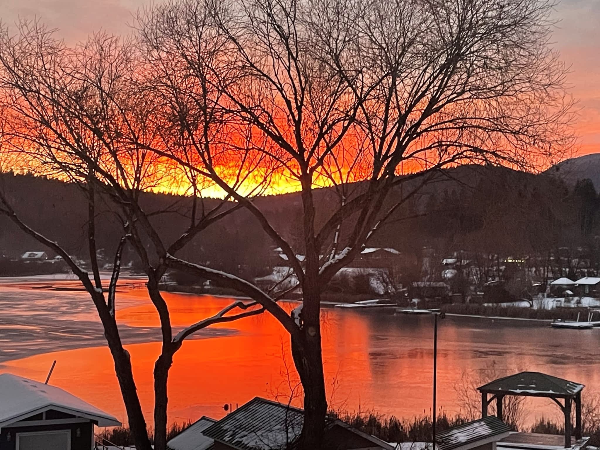 photo Stumped Tree Service