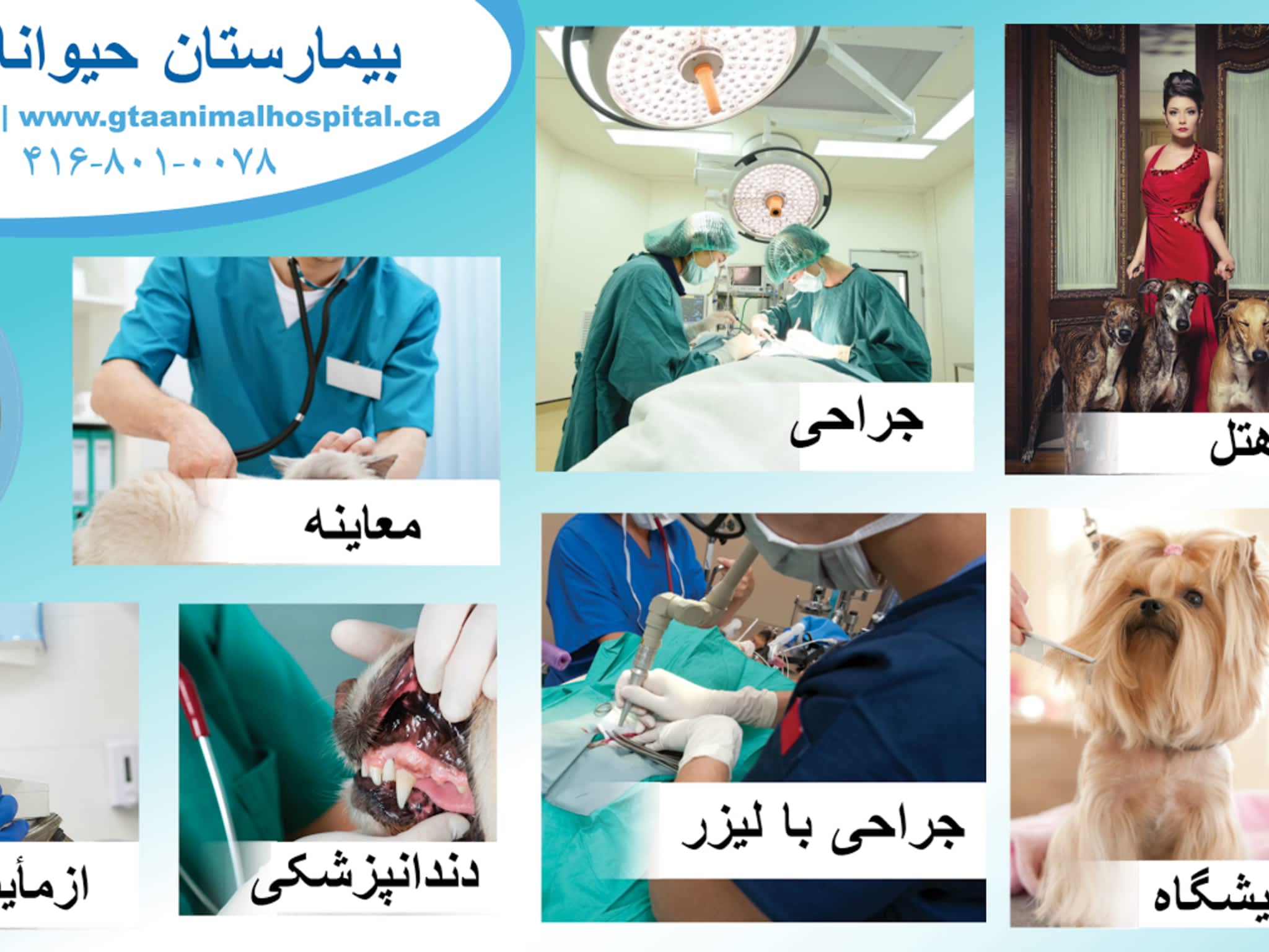 photo Dr Kafai Veterinary Hospital