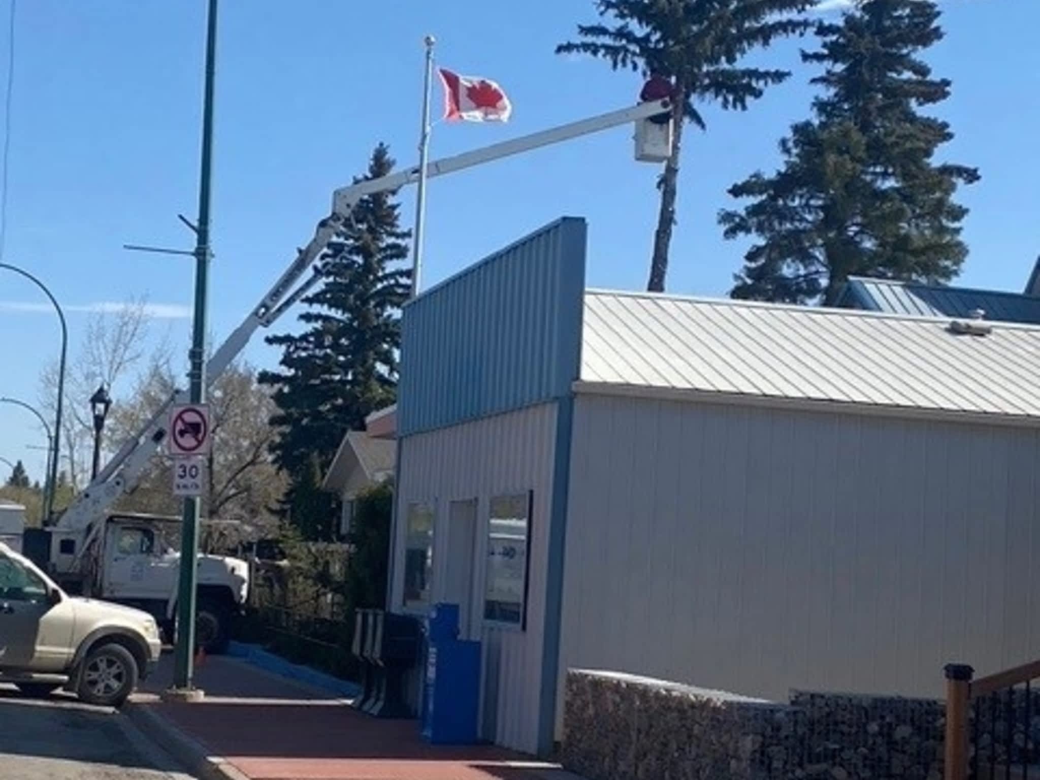 photo KAOS Inc - Tree Services