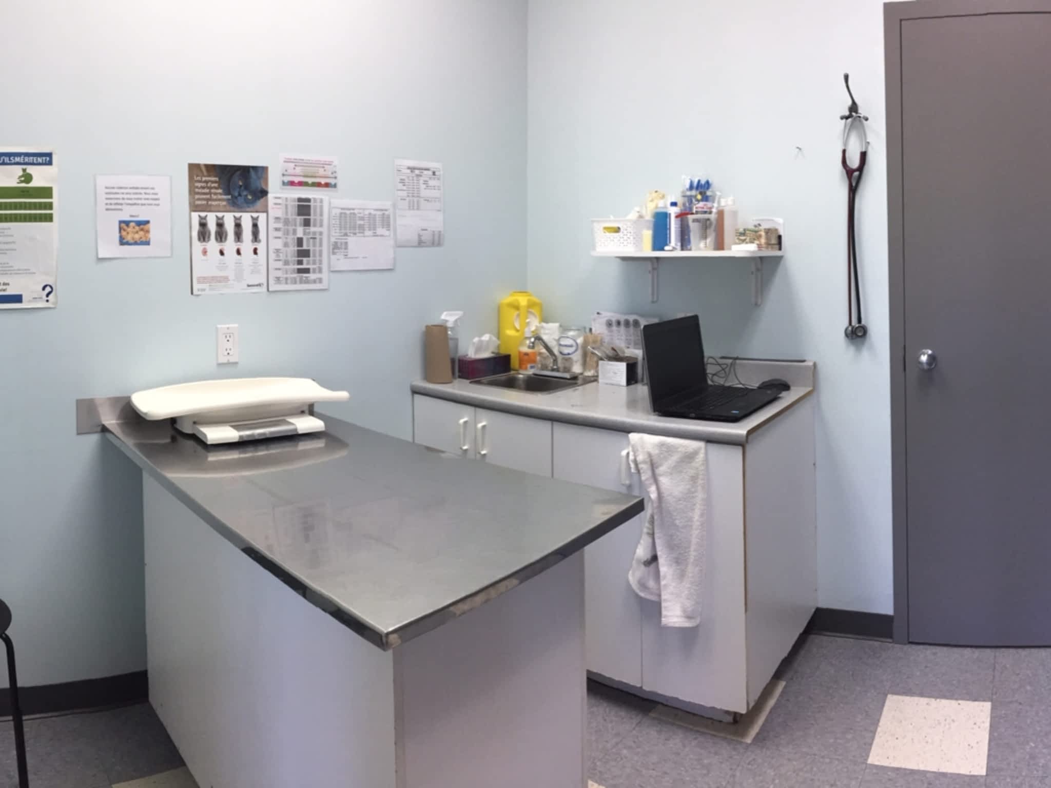 photo Clinique Vétérinaire Gauvin