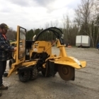 B & L Tree Service - Tree Service
