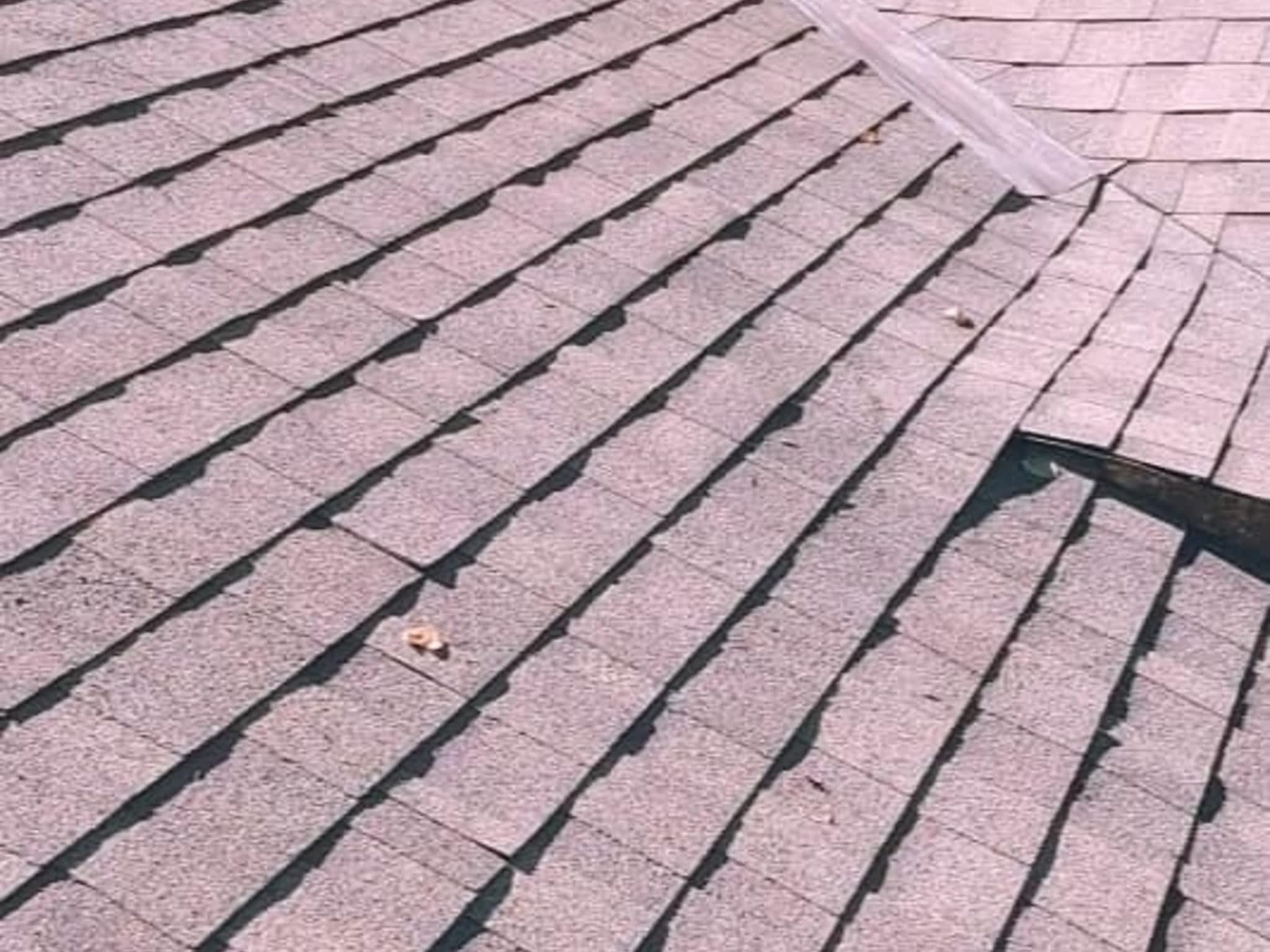 photo Thompson Roofing