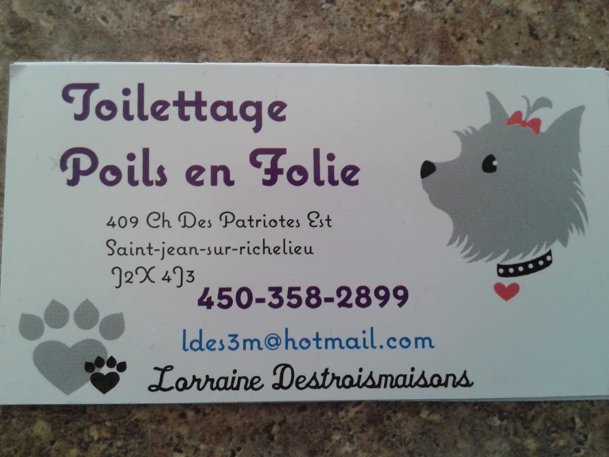 photo Salon de Toilettage Poils en Folie