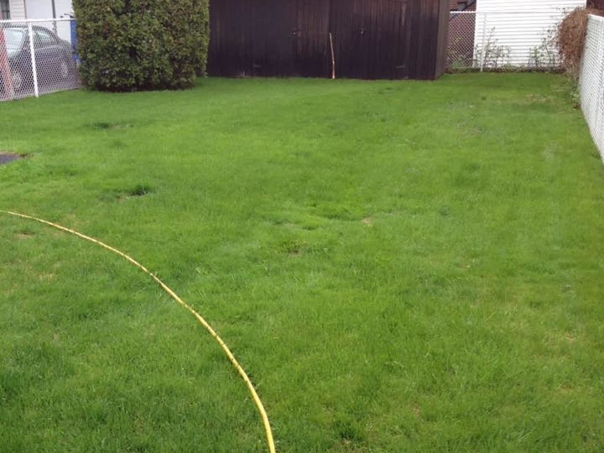 photo Qualité Pelouse