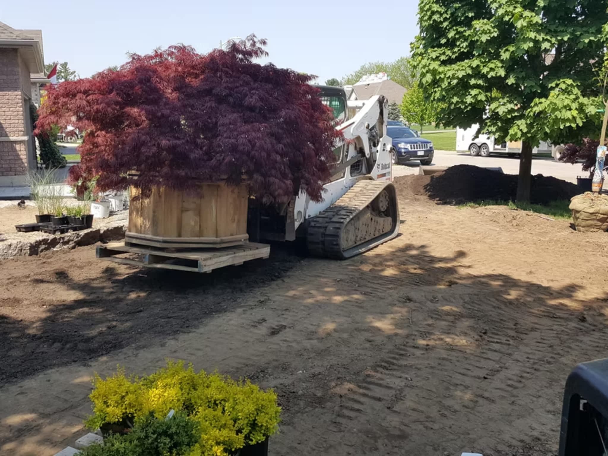 photo Cedarlane Landscape & Design