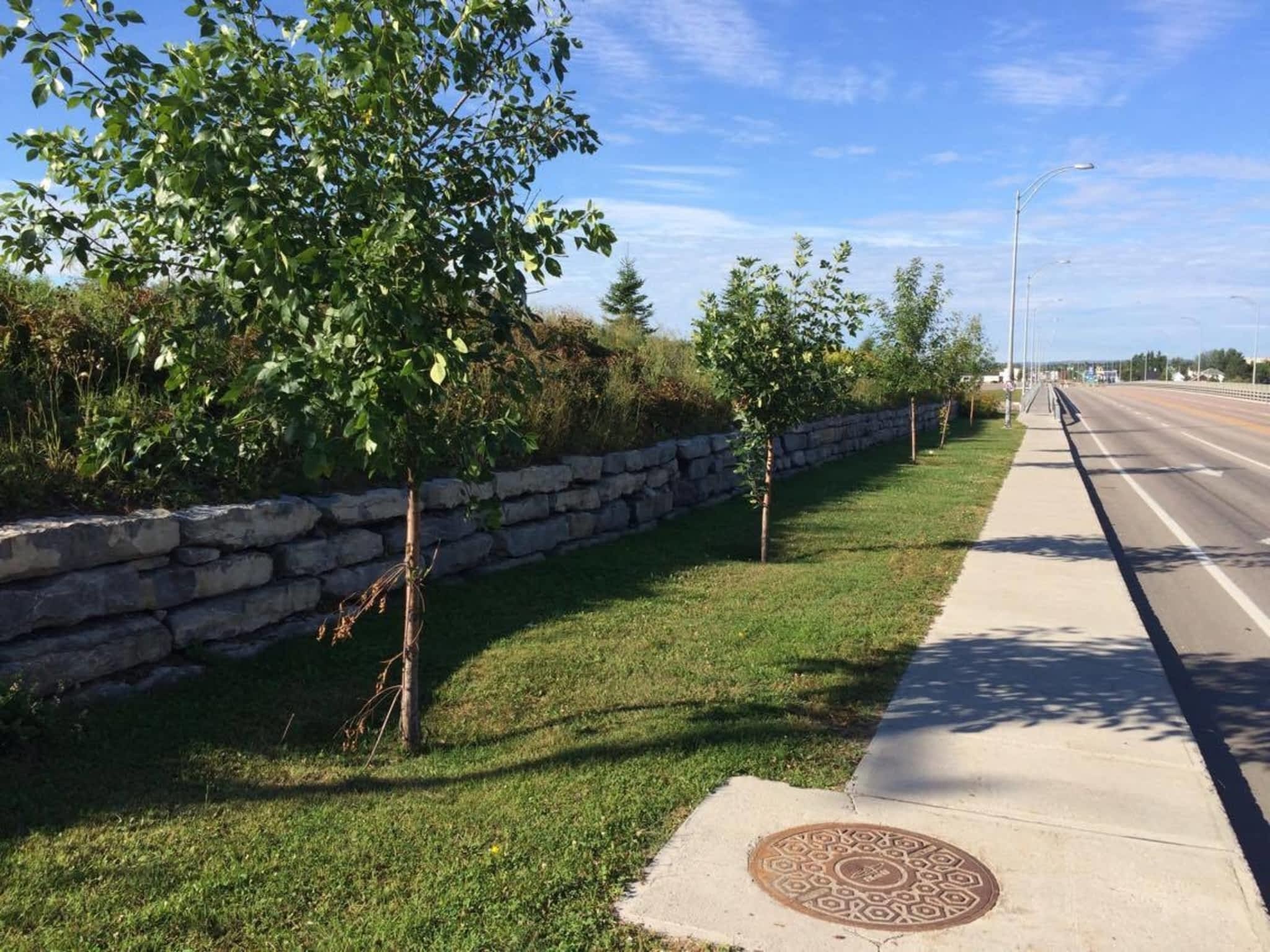 photo Nutrite Belle Pelouse