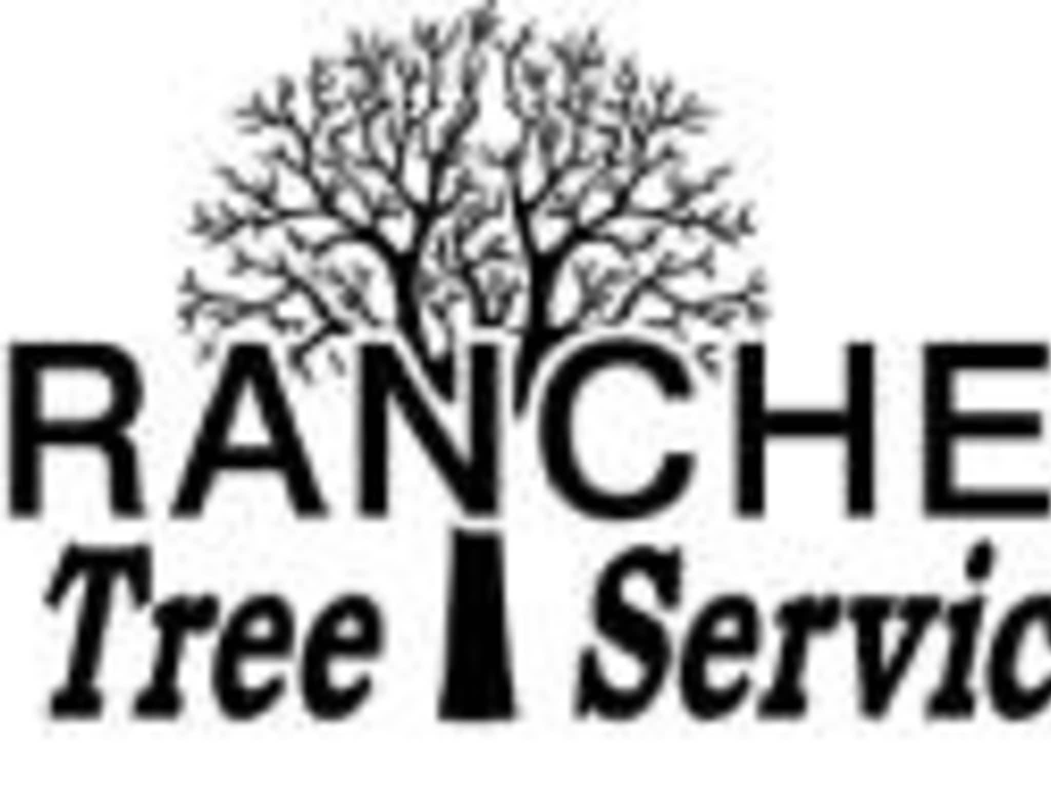 photo Branches Tree Service