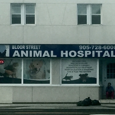 Bloor Street Animal Hospital - Vétérinaires