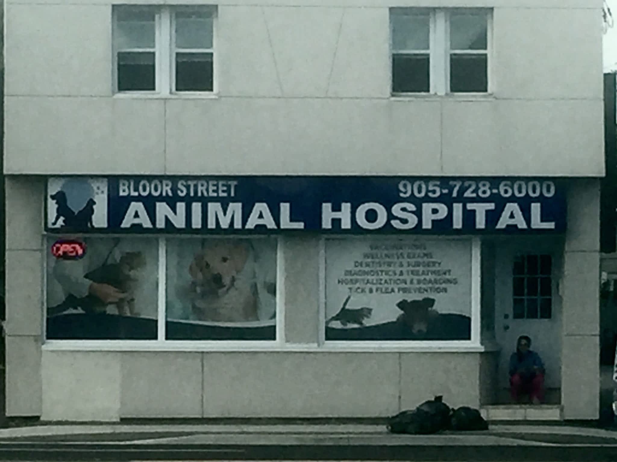 photo Bloor Street Animal Hospital