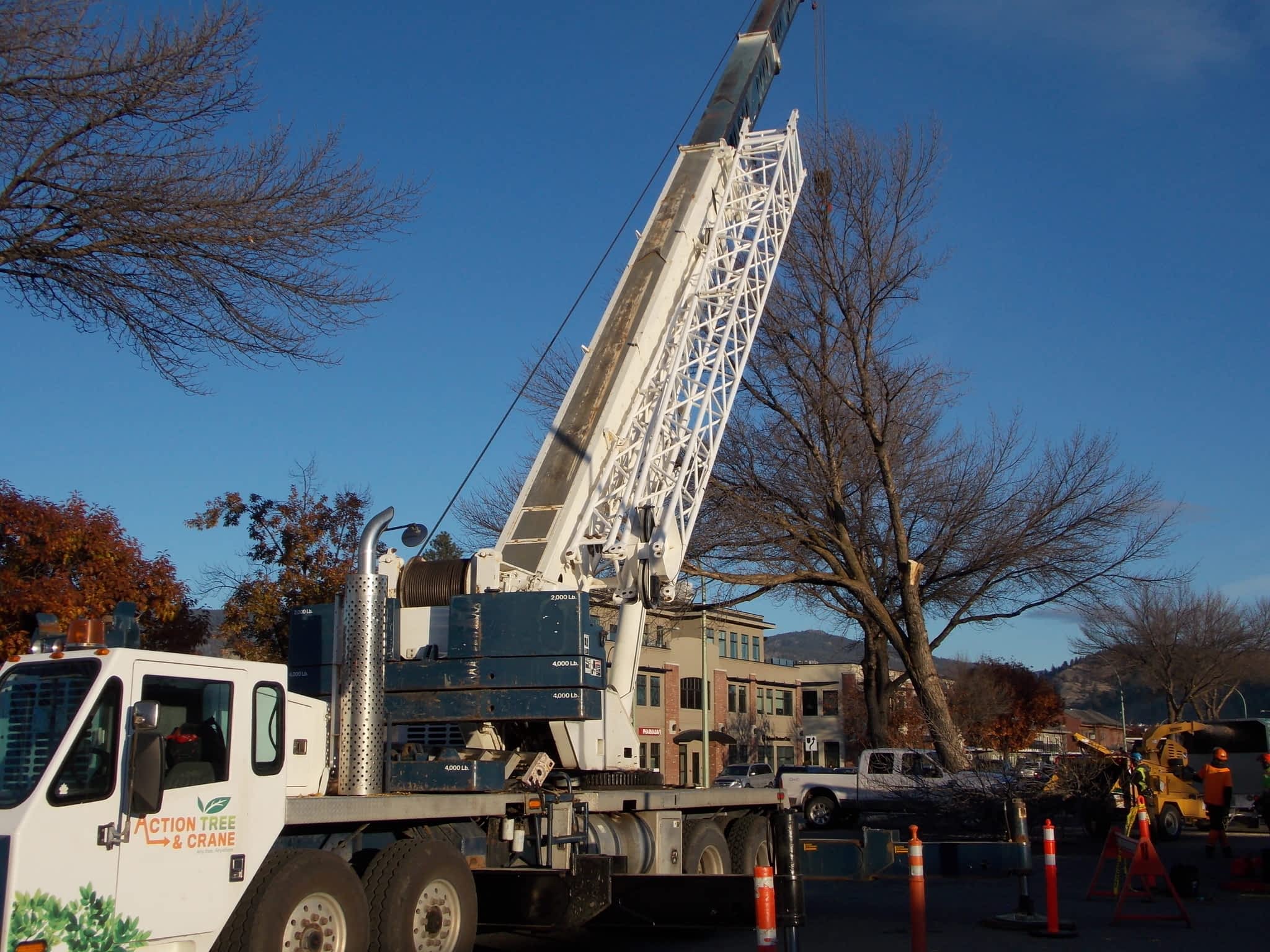 photo Action Tree Service
