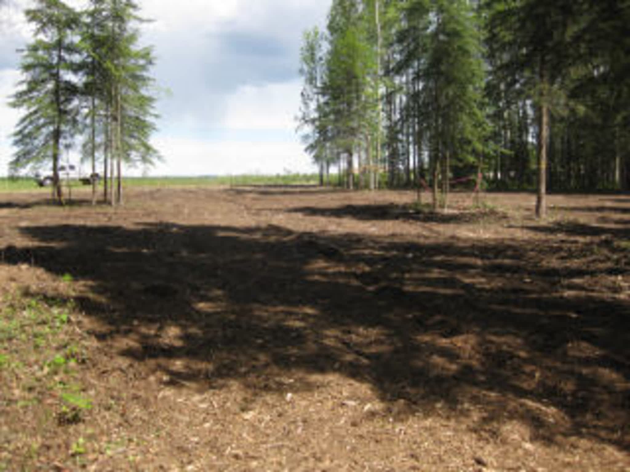 photo Saws'n Ladders