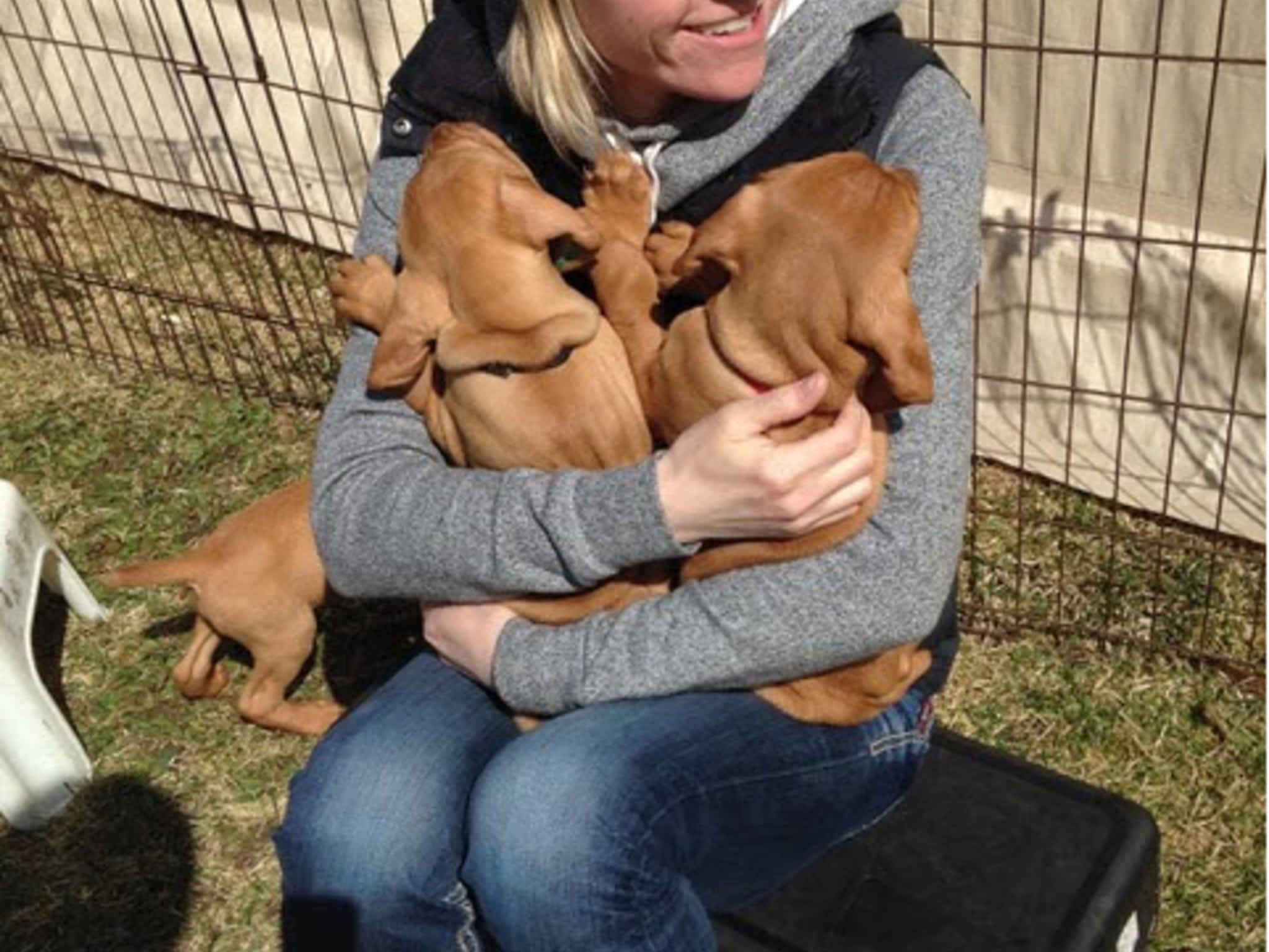 photo Mountain Bound Hounds