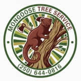 Mongoose Tree Removal - Tree Service