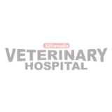 View Silverado Veterinary Hospital’s Calgary profile