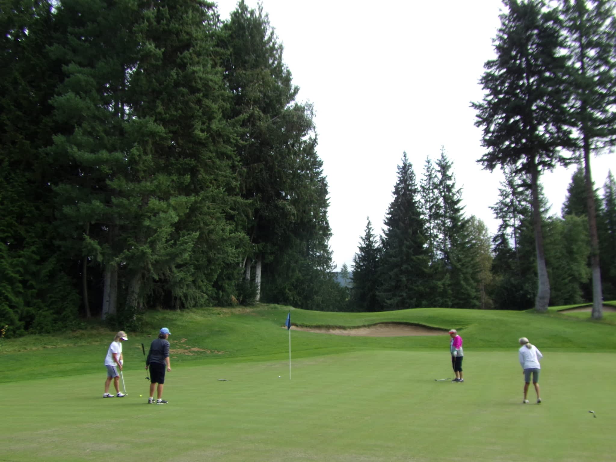 Salmon Arm Golf Club Salmon Arm, BC 3641 Hwy 97B S Canpages