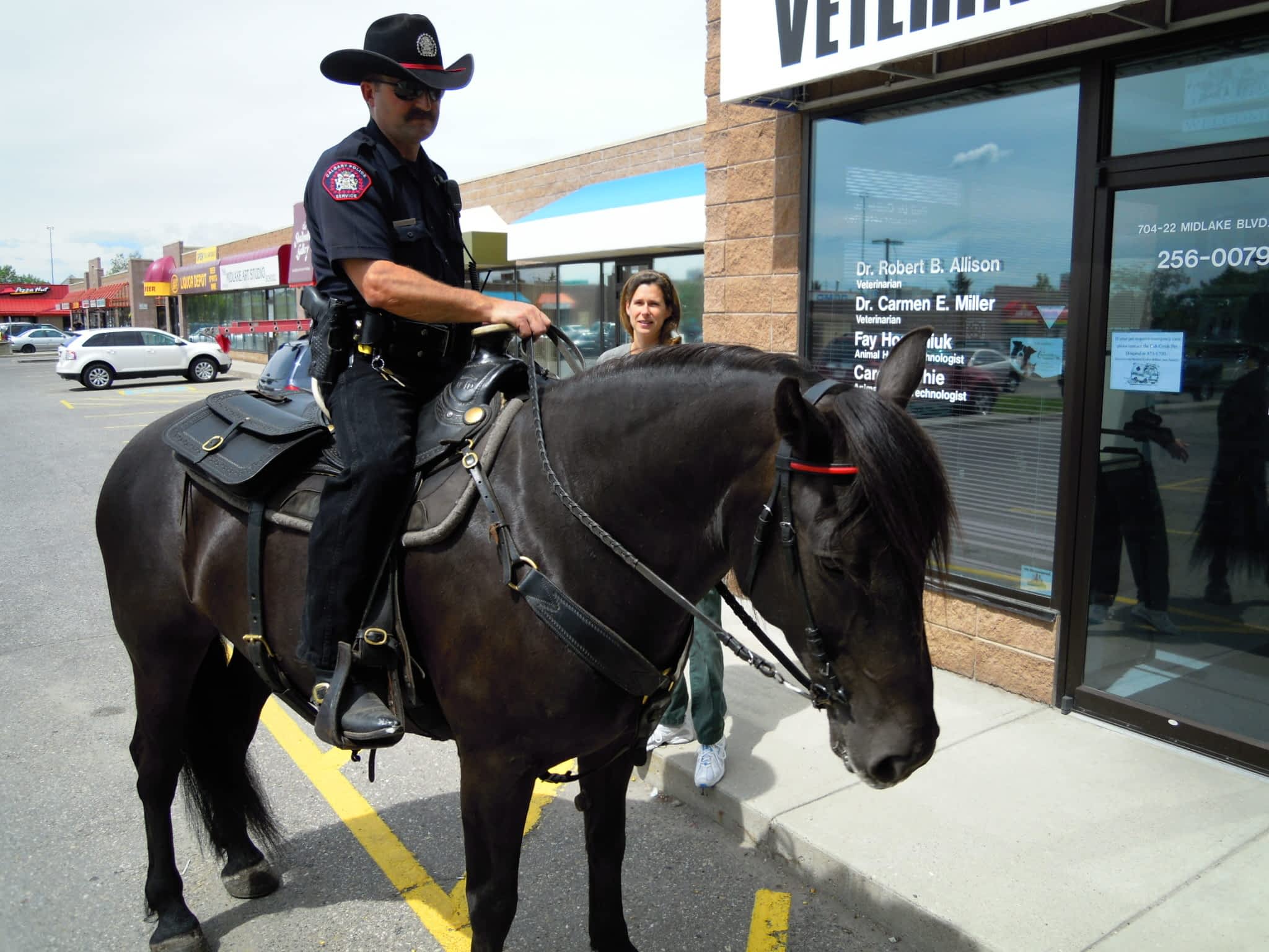 photo Midlake Veterinary Clinic