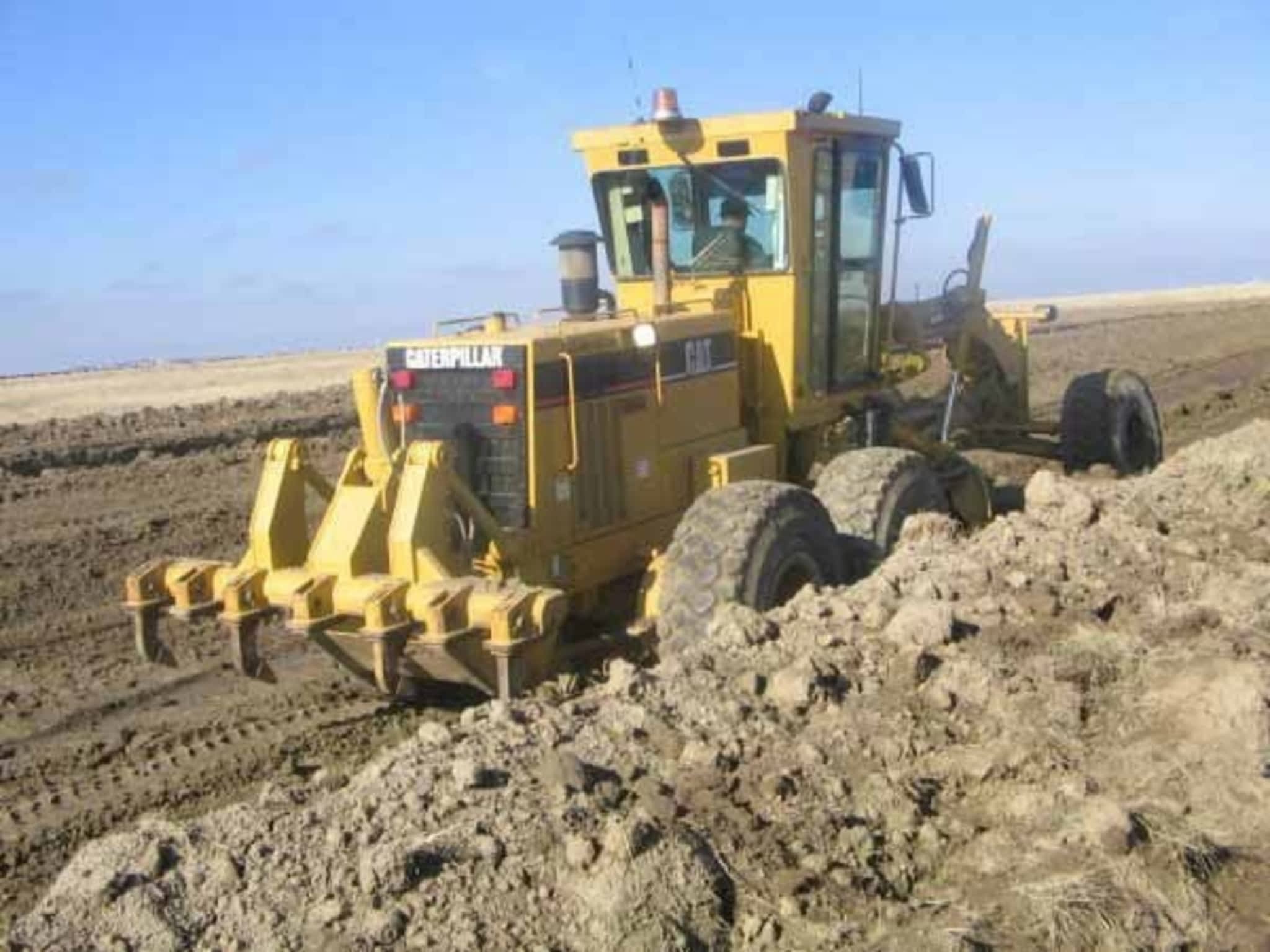 photo Elliott Cats Ltd