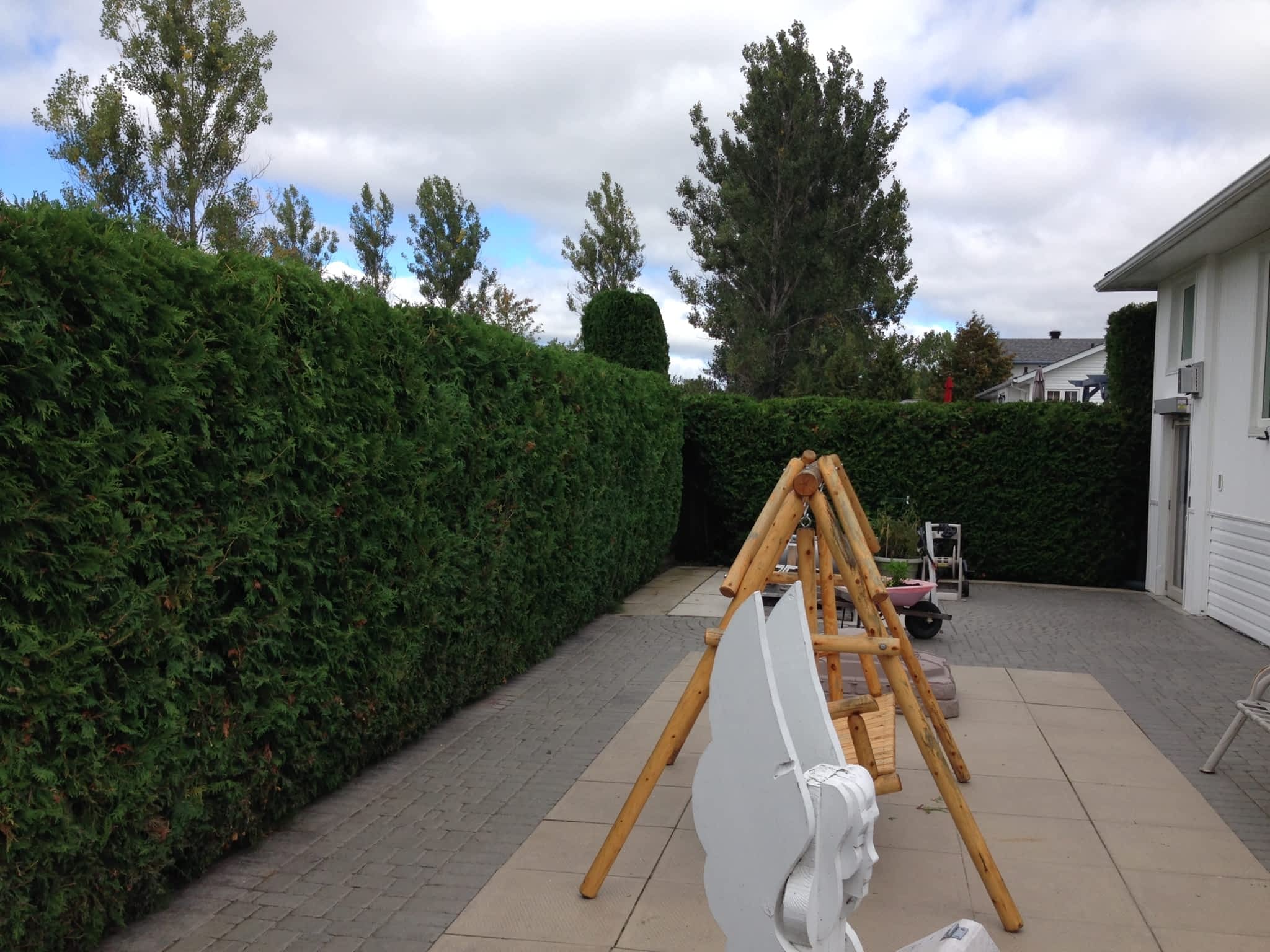 photo Upper Hand Tree Care