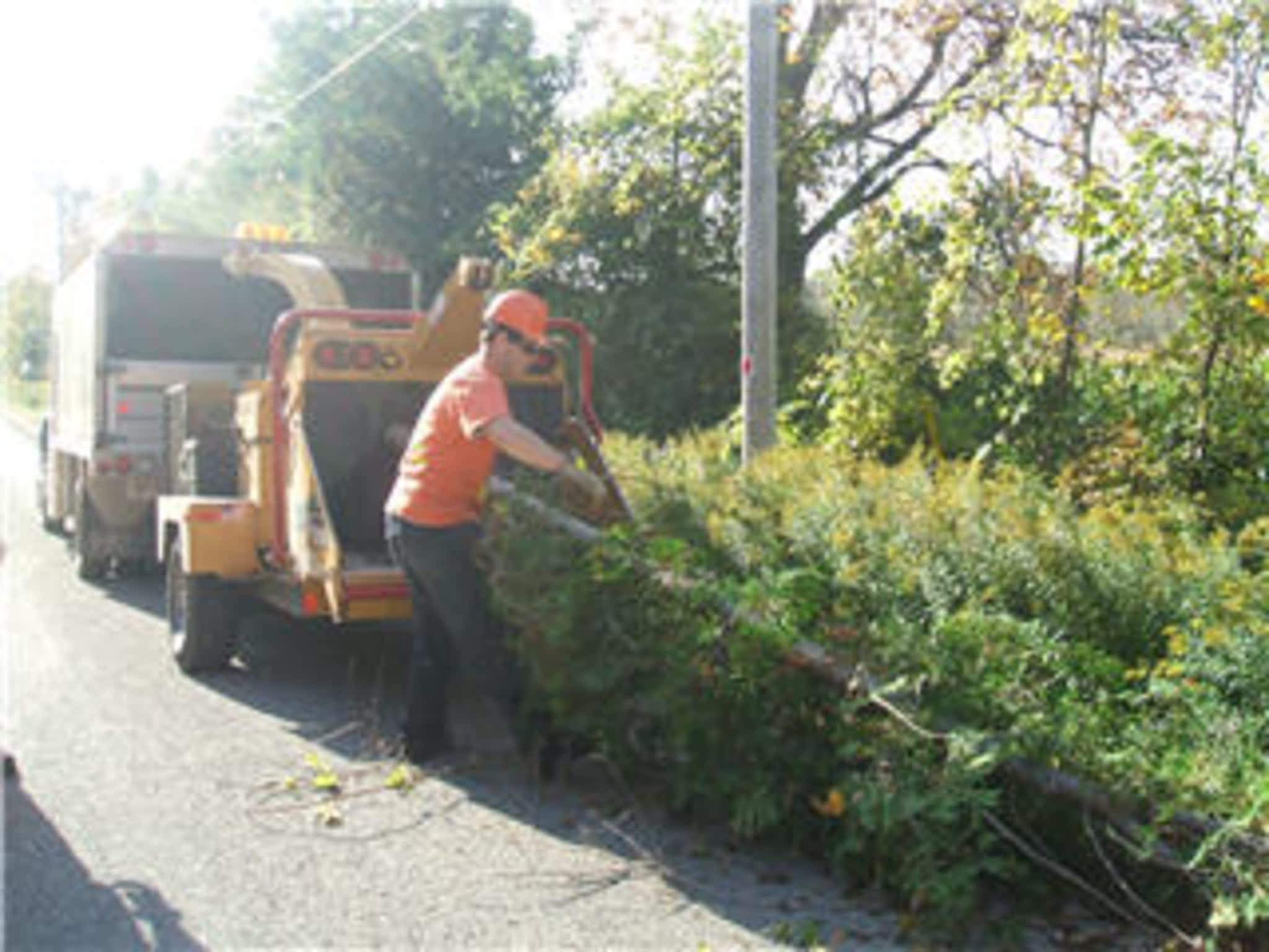 photo Quality Tree Service