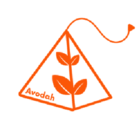 Avodah Mugs and Teas - Thé