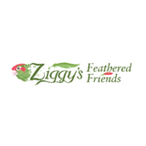 Voir le profil de Ziggy's Feathered Friends - London