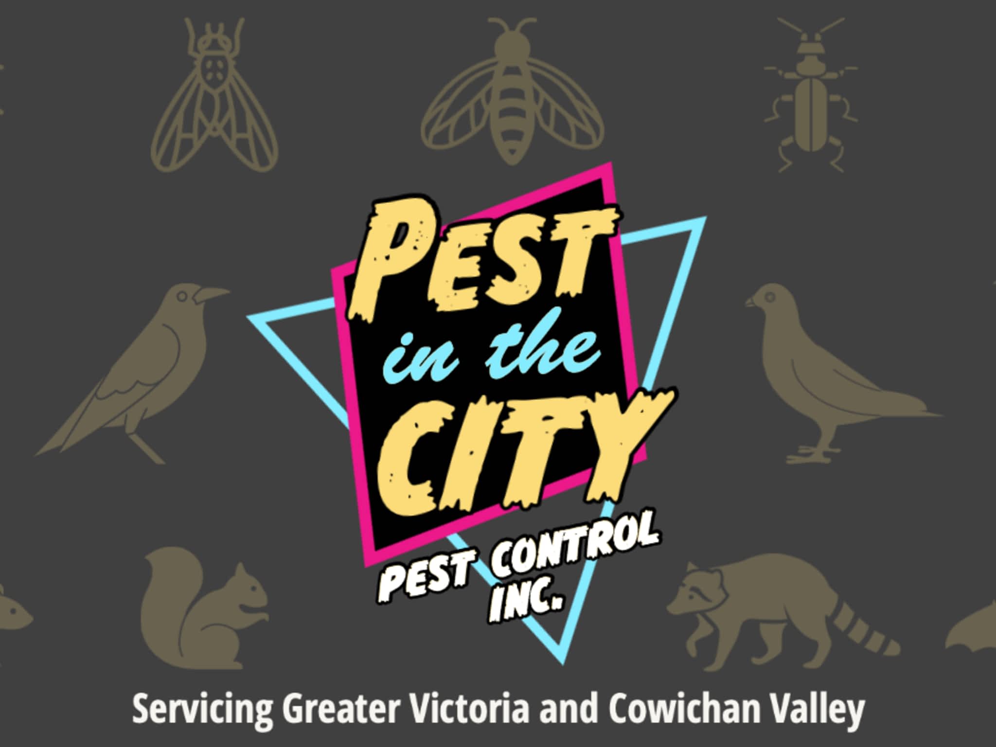 photo Pest in the City Pest Control