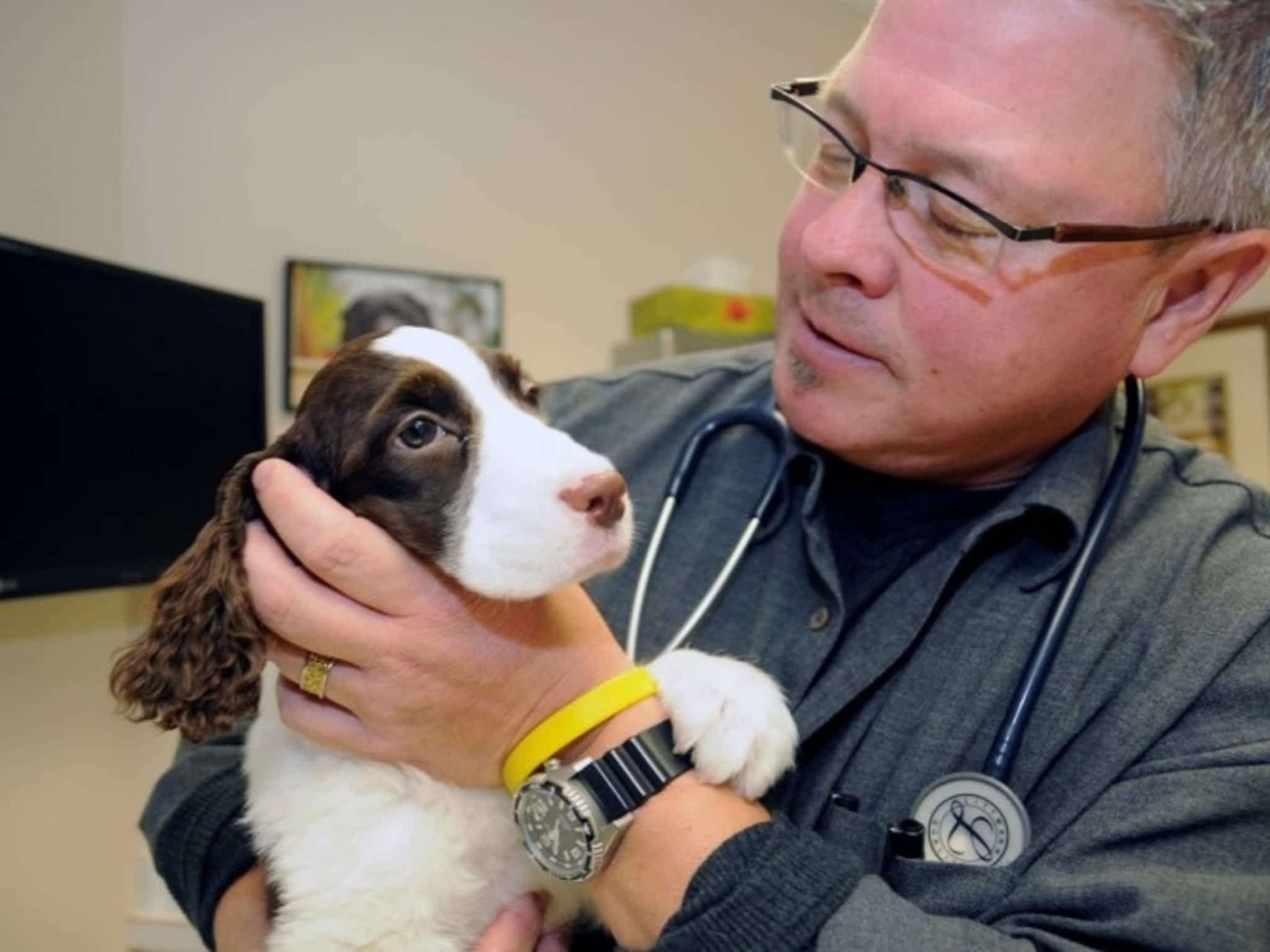 photo Amherst Veterinary Clinic