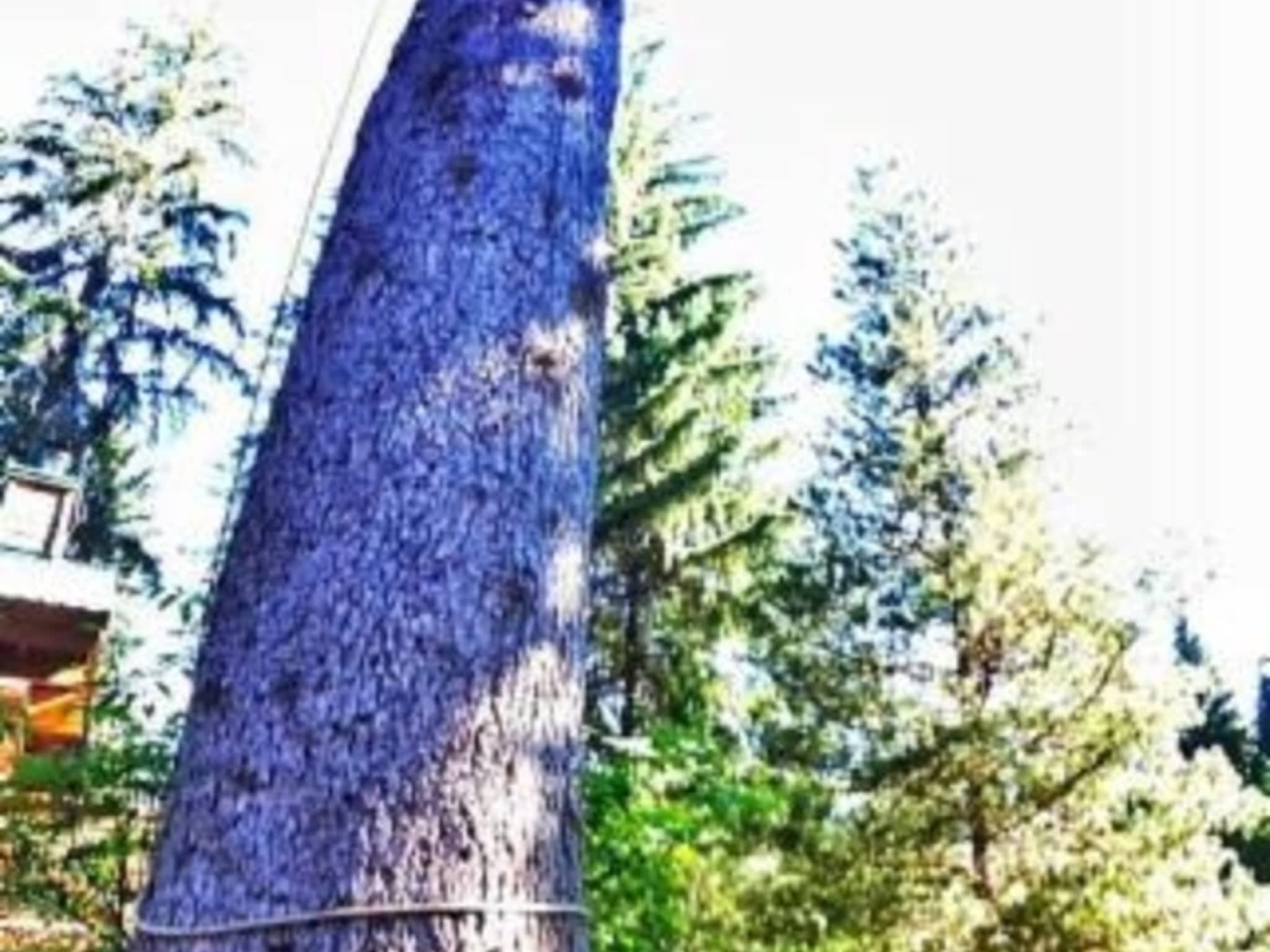 photo Windfirm Tree Services