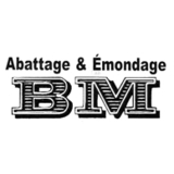 View B M Abattage et Émondage’s Ottawa profile
