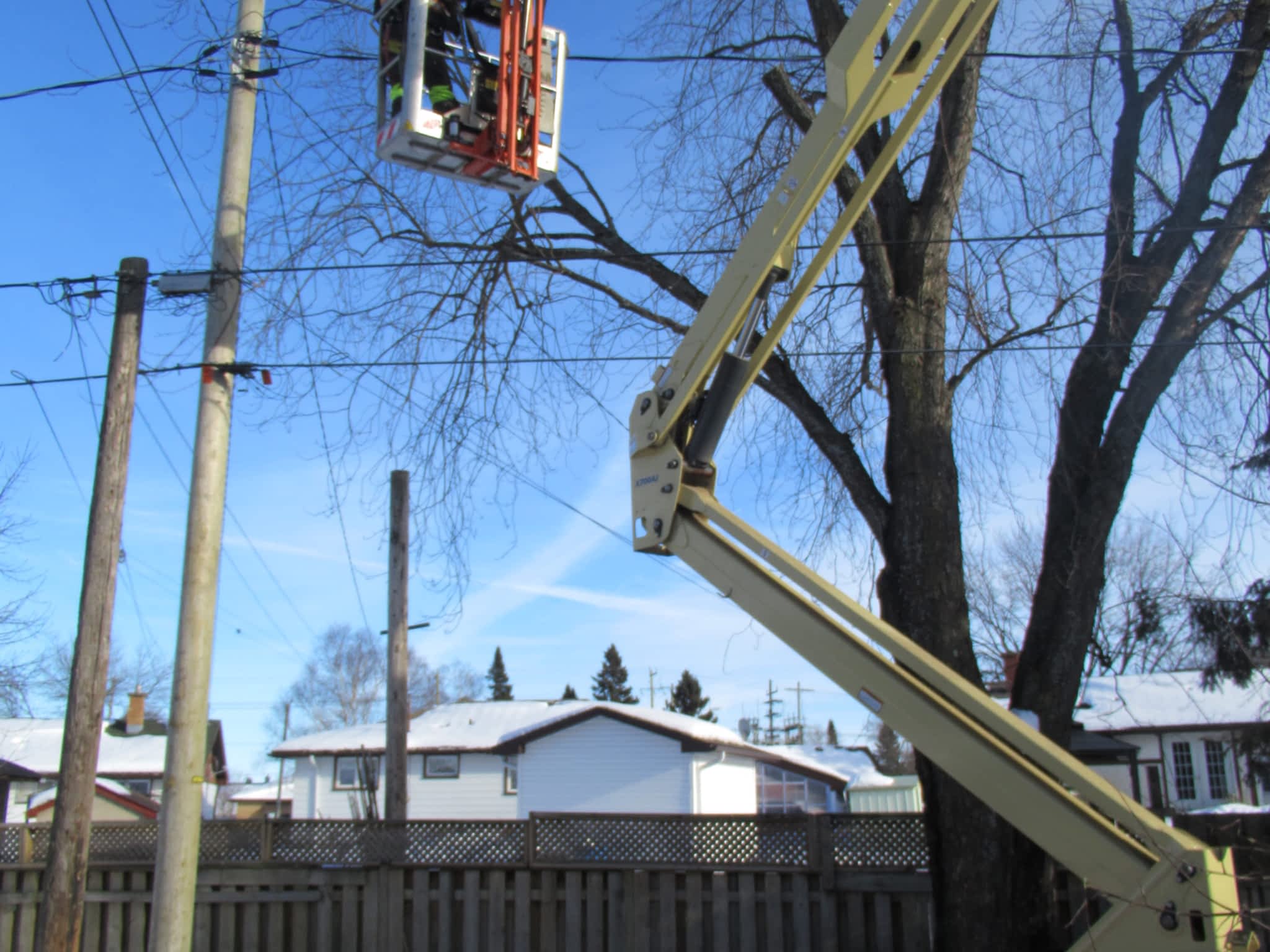 Master Tree Care Thunder Bay, ON 2541100 Memorial Ave