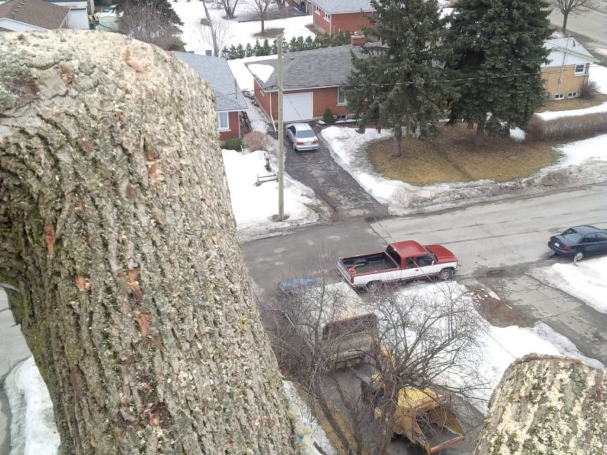 photo Crawford Loggers