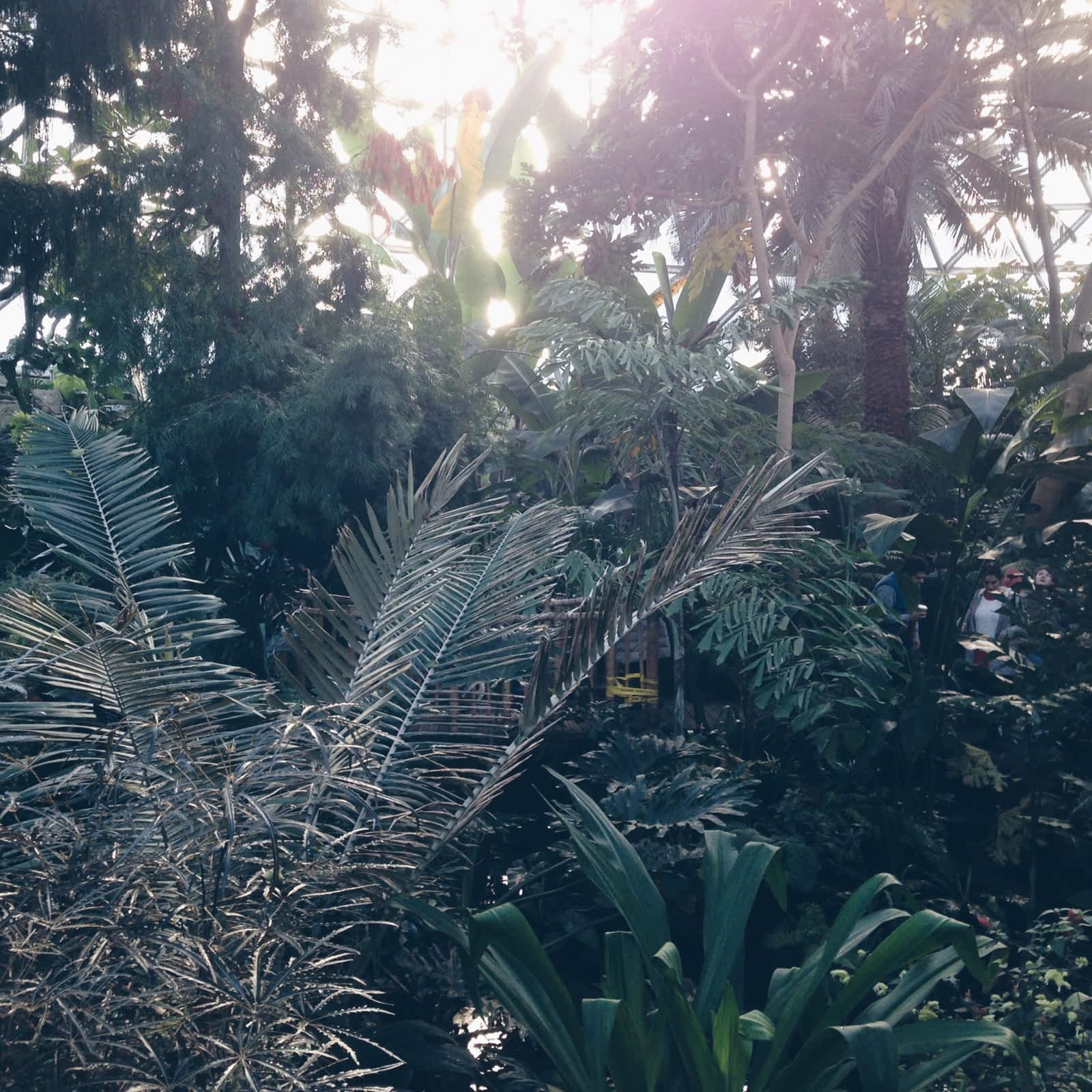 Bloedel Conservatory - 4600 Cambie St, Vancouver, BC