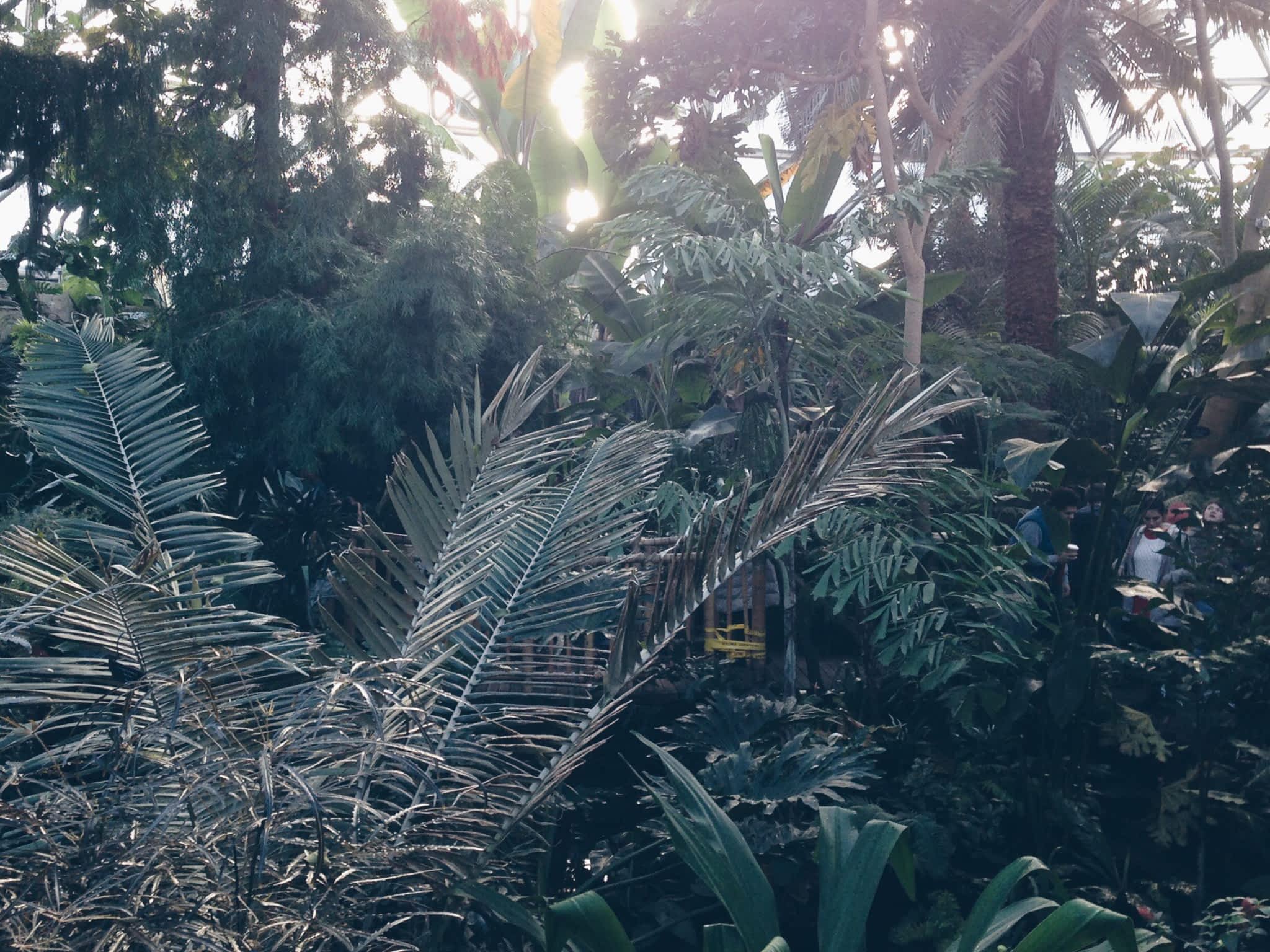 photo Bloedel Conservatory