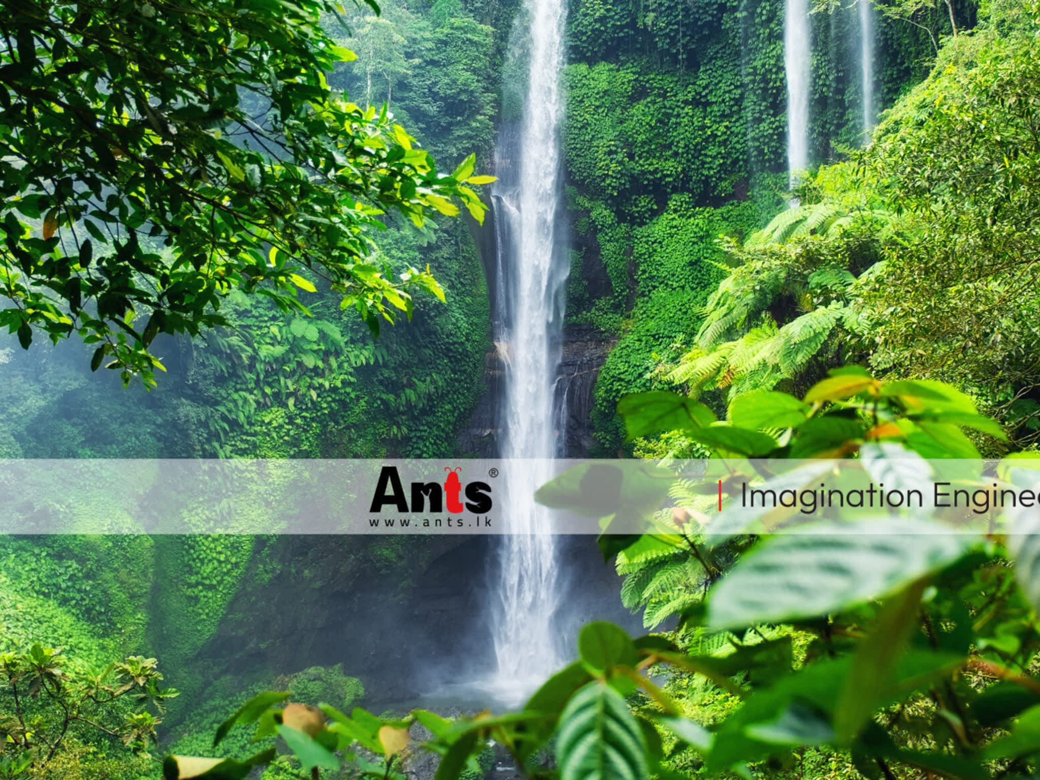 photo Ants Creation (Pvt) Ltd