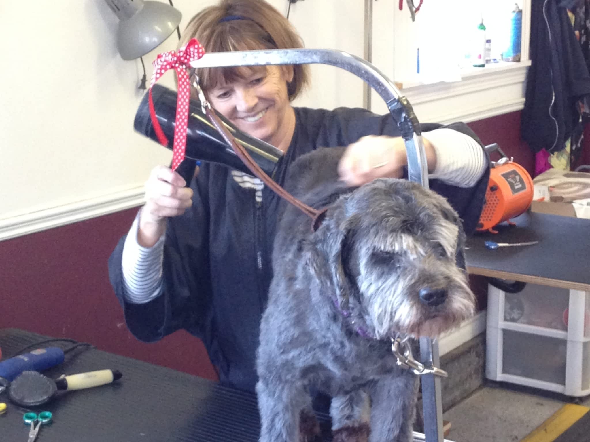 photo Added Touch Pet Grooming