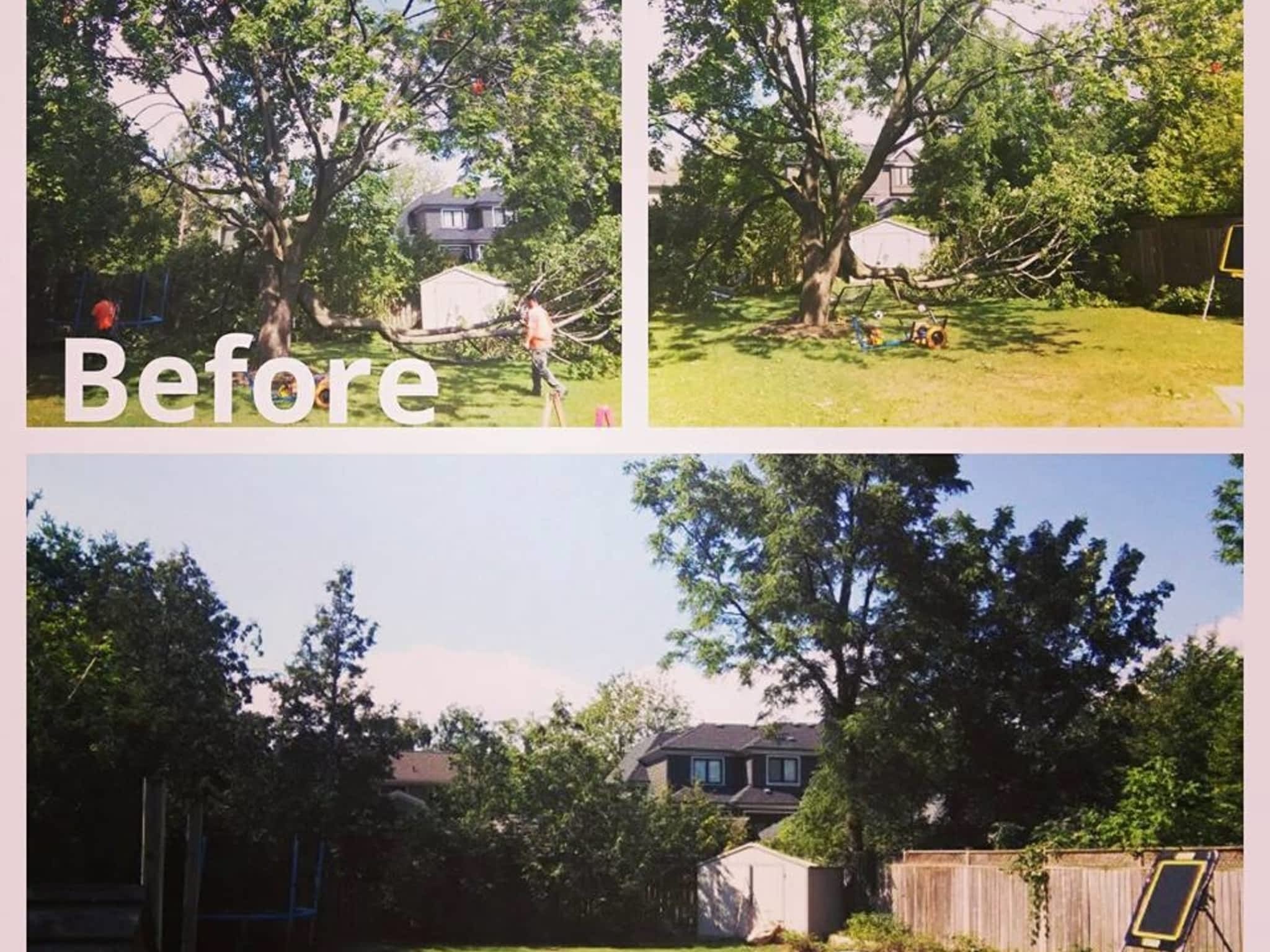 photo K P Tree Services