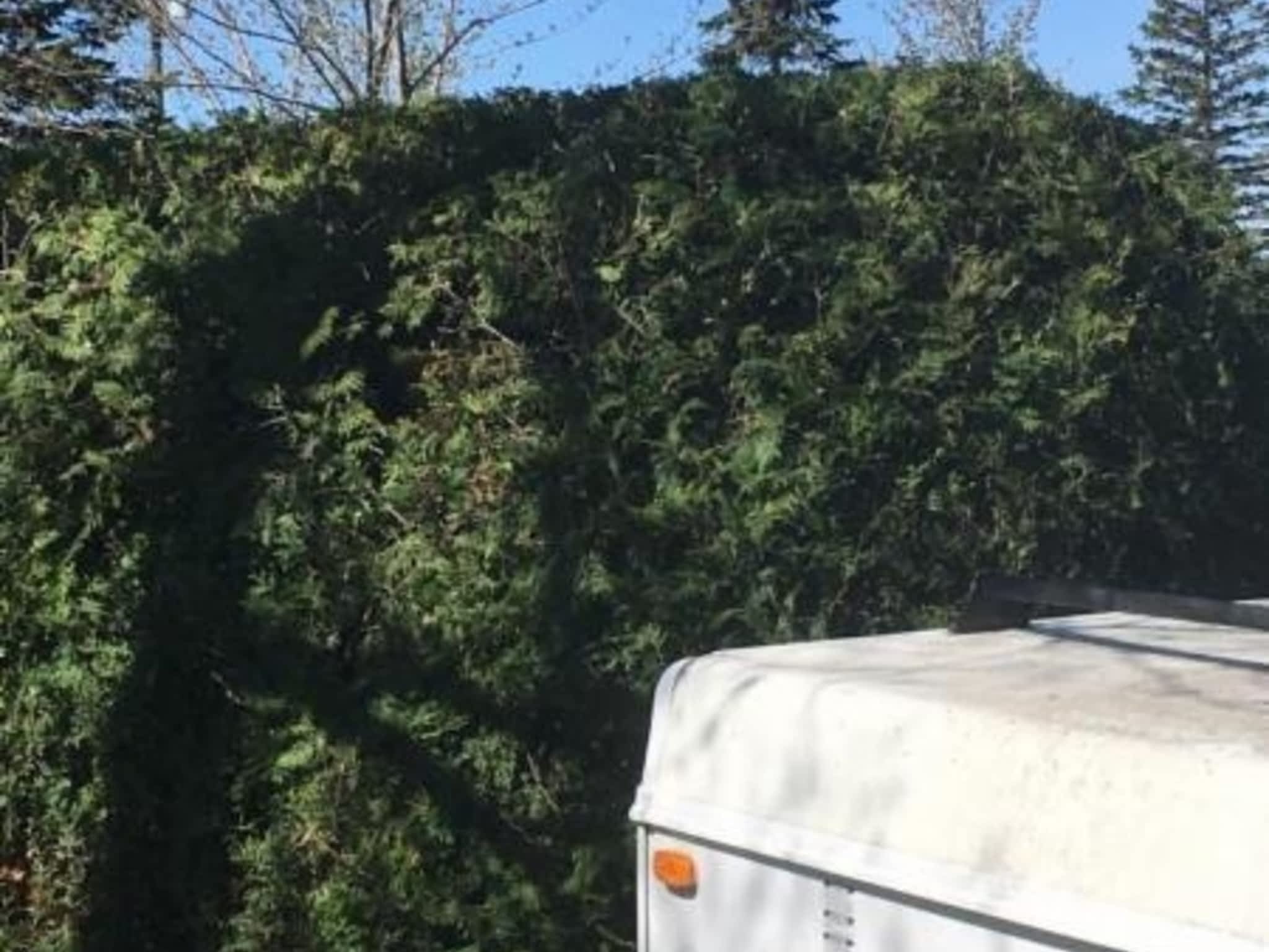 photo Benoit et ces Arbustes