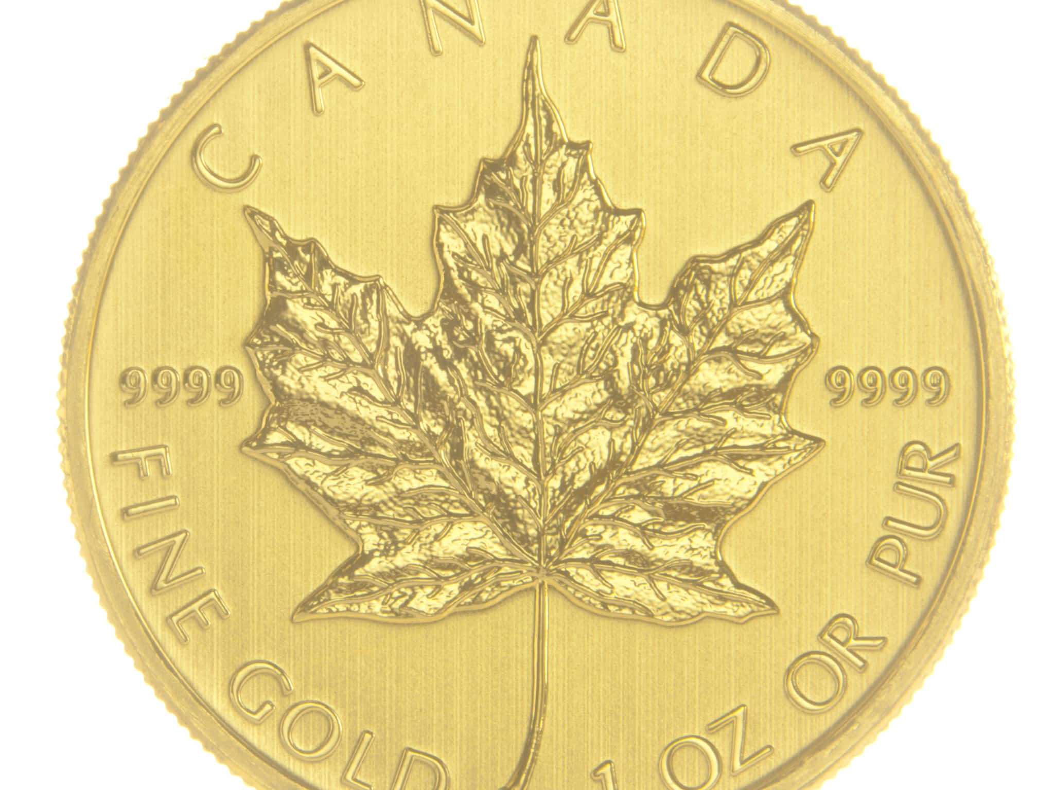 photo Border Gold Corp