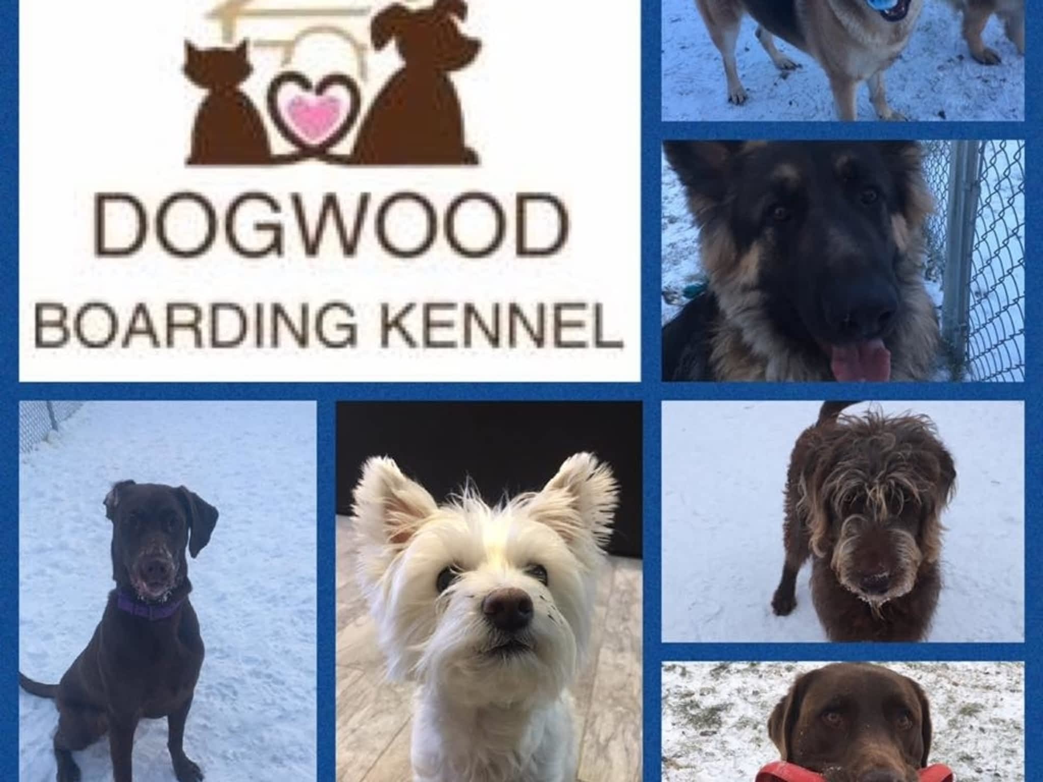 Dogwood Boarding Kennel Whitecourt, AB 114078 Township Rd 592B