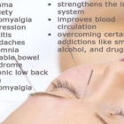 Sun's Acupuncture & Wellness Centre - Acupuncturists