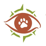 View Emmanuelle Fournier Chouinard Psychologue’s Bégin profile