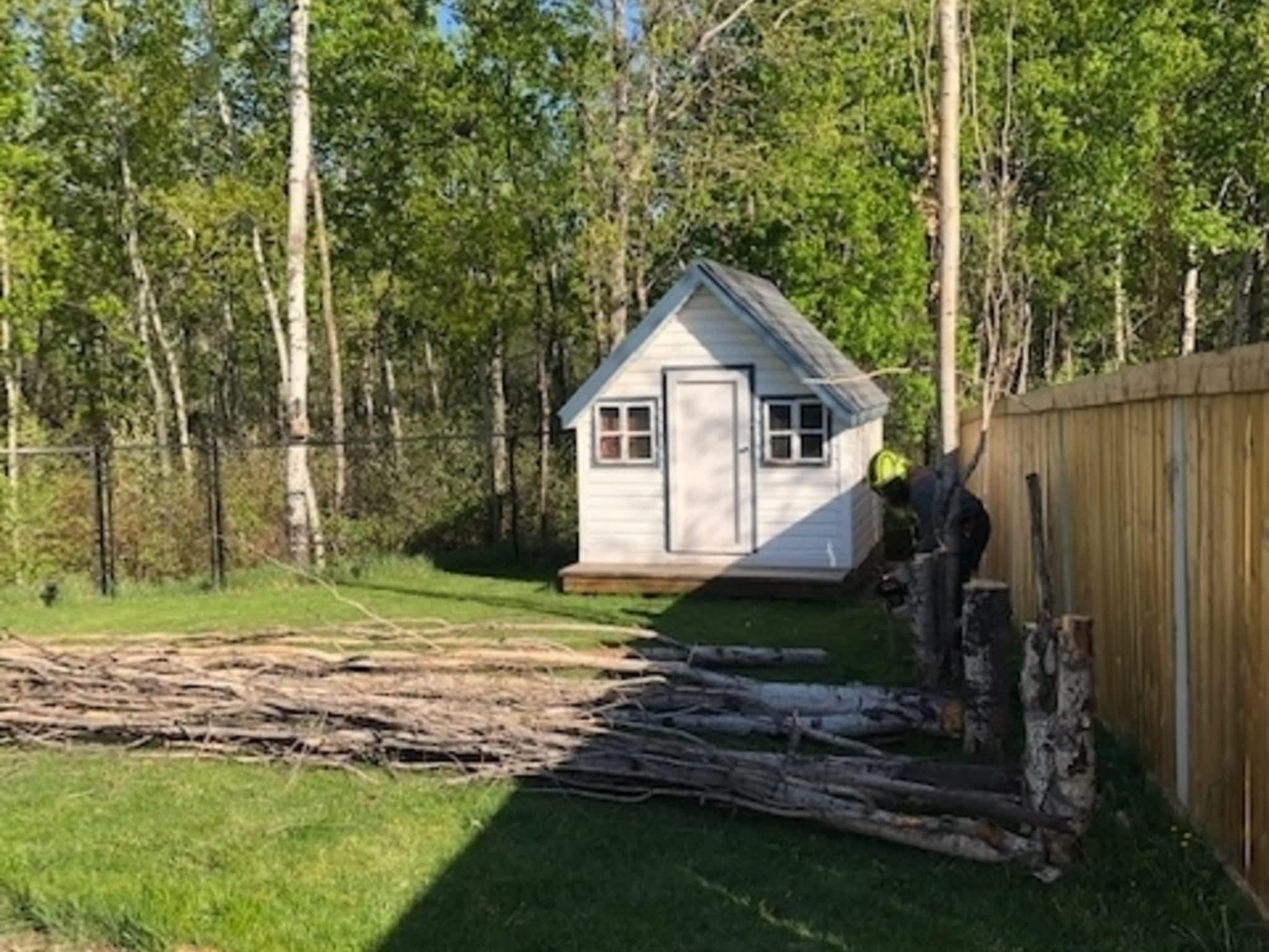 photo Limber Environmental Ltd