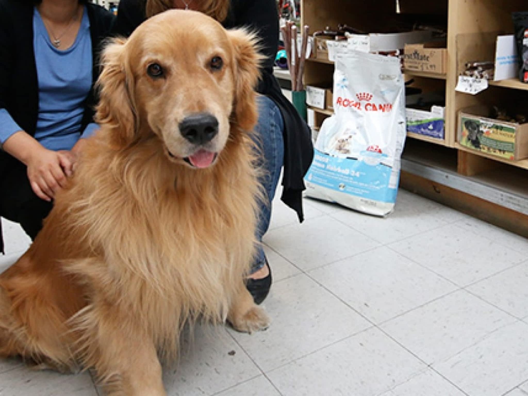 photo Vancouver Pet Centre Food & Supplies