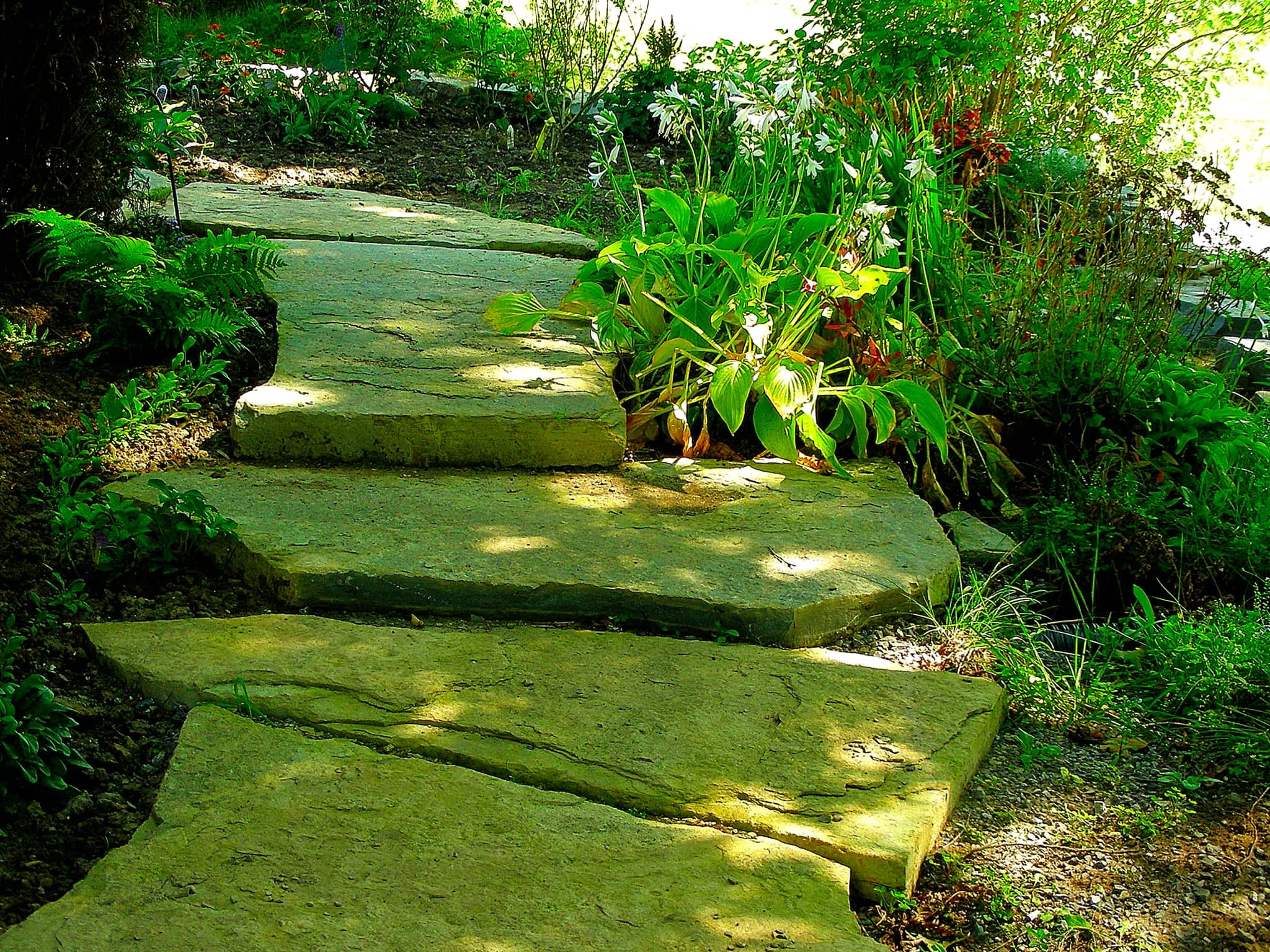 photo Dreamscape Landscaping