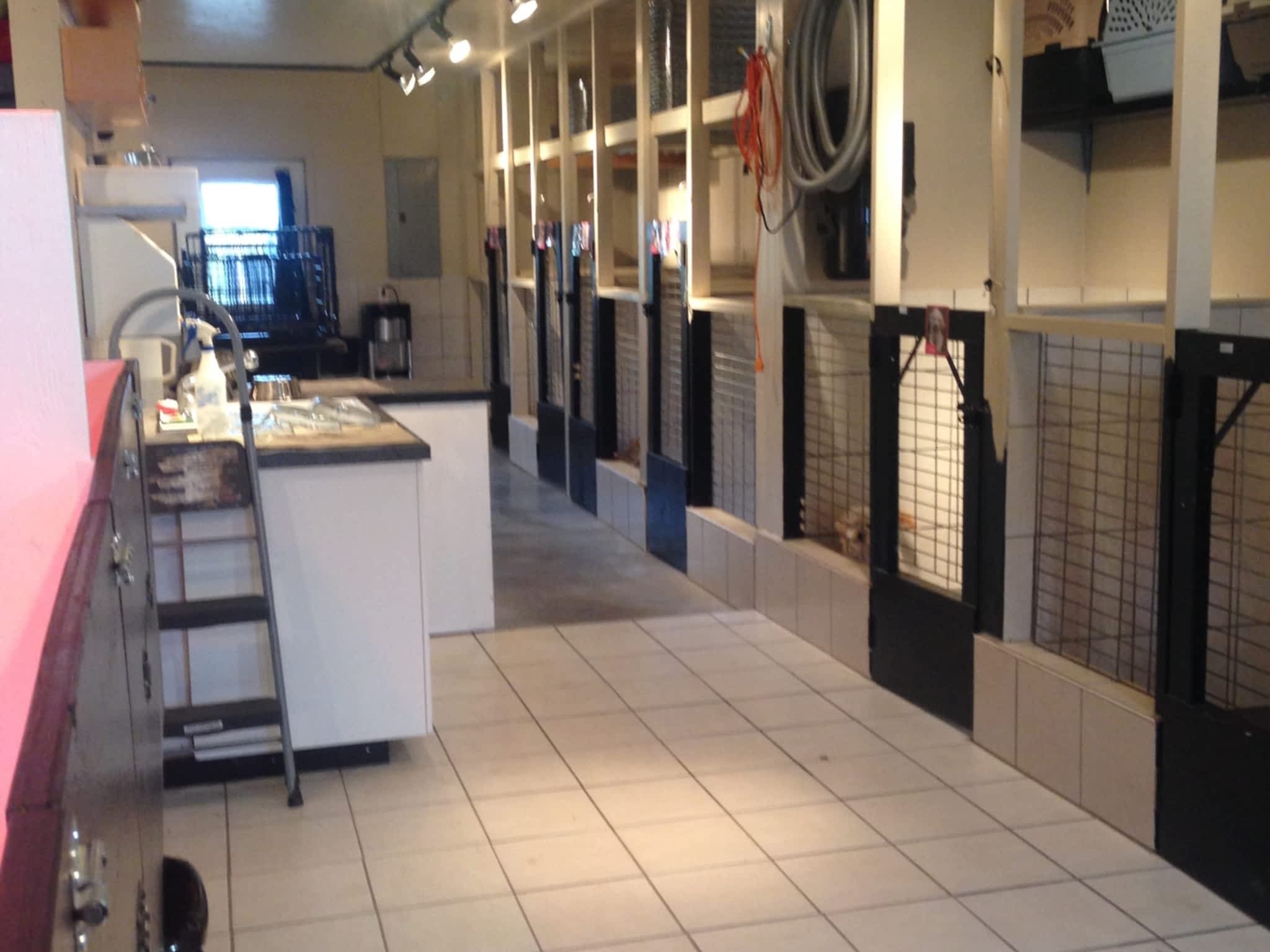 Country Home Kennels Canpages